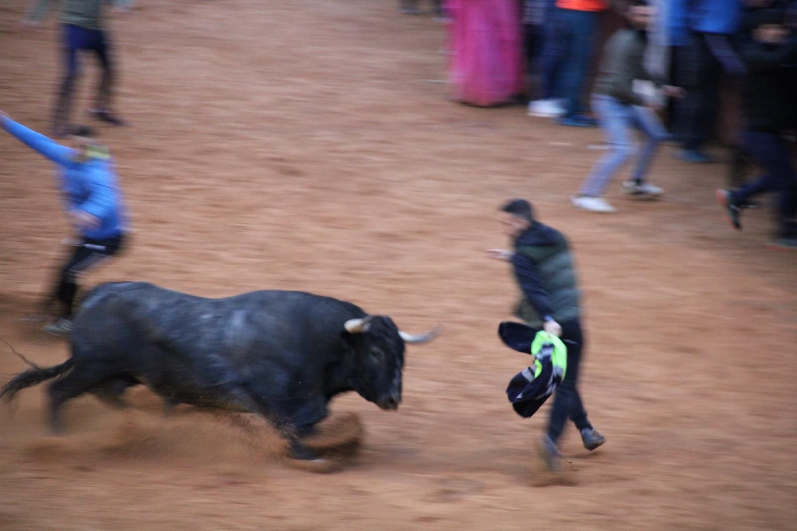 whatsapp-image-2025-03-02-at-19-32-38-1