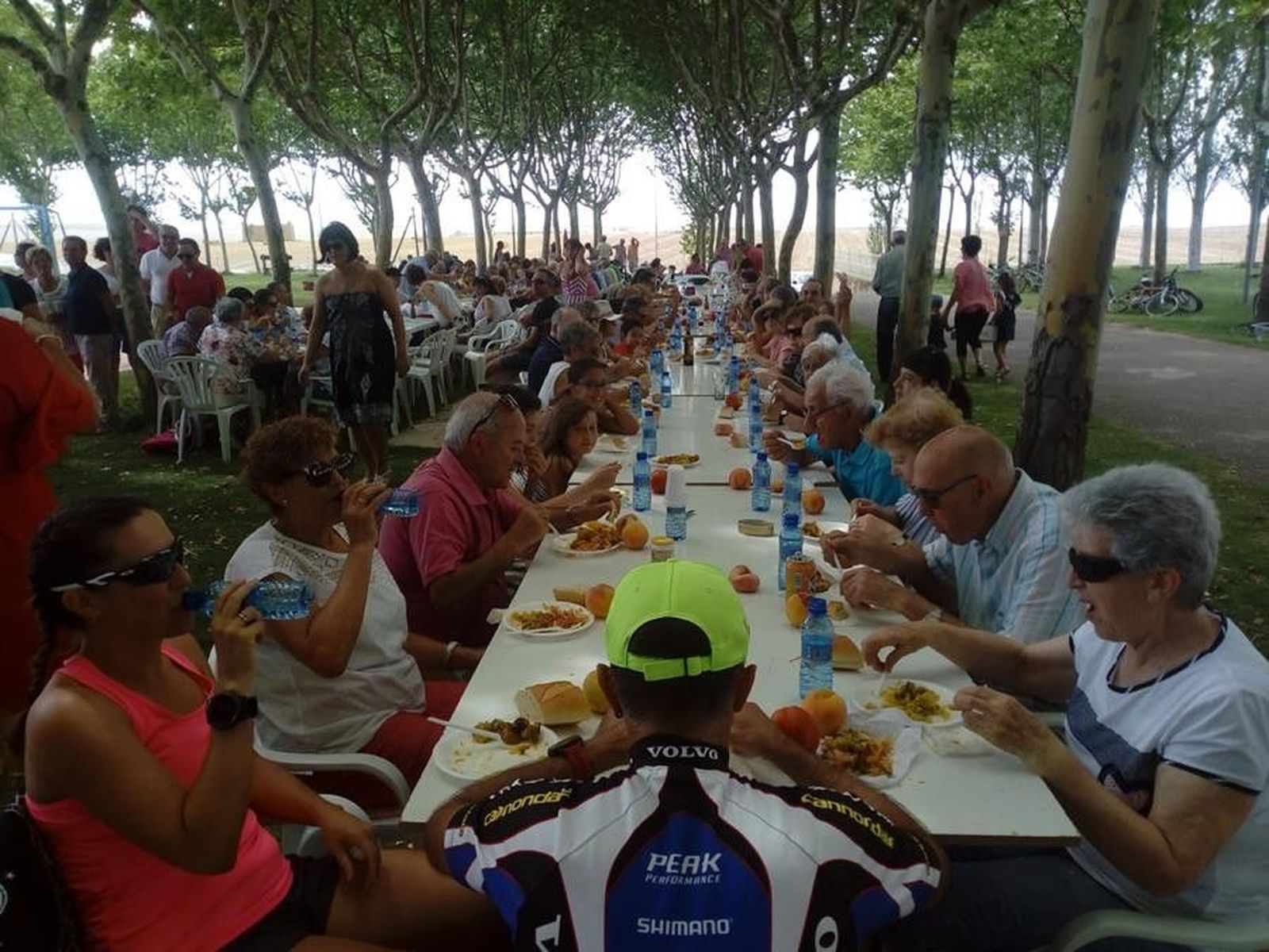 IMG 20180824 WA0026 (Copy)