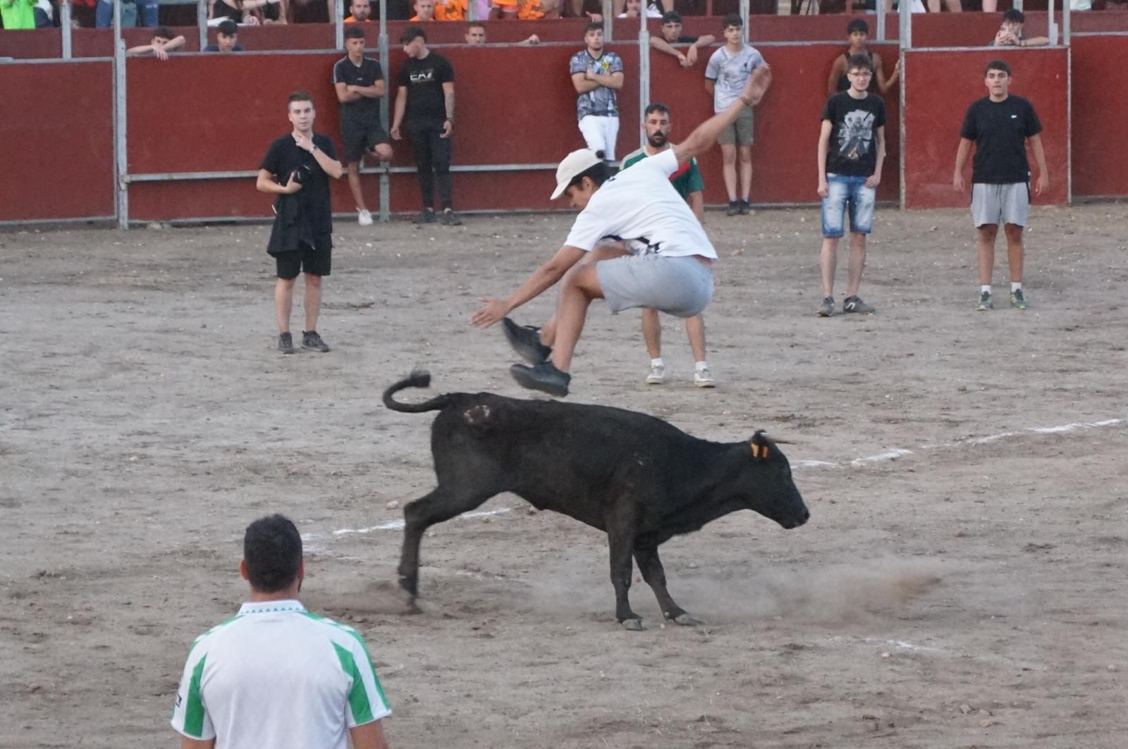 Las vaquillas hacen las delicias de los asistentes en Santa Marta de Tormes