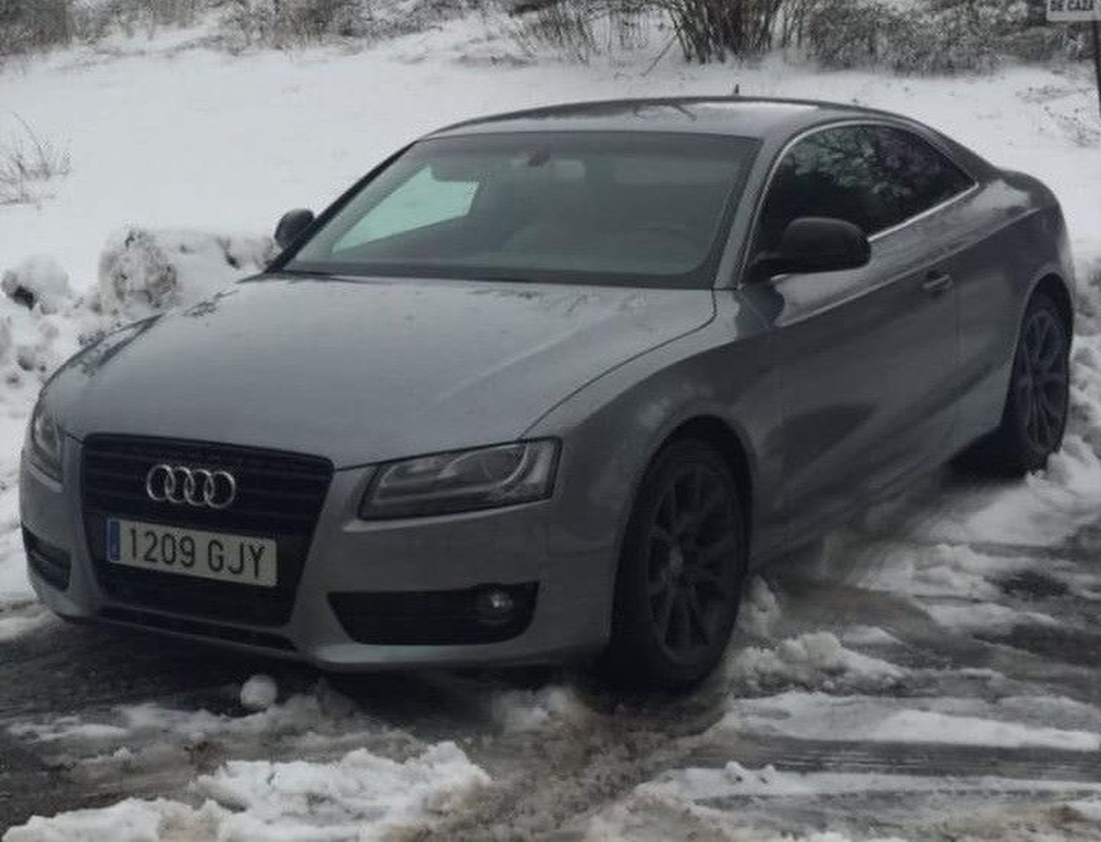 WhatsApp Image 2019 03 09 at 18.23.32