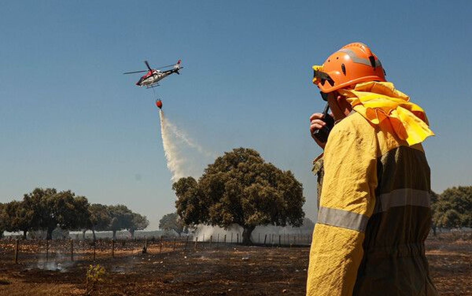 GALERÍA  Incendio forestal intencionado en Campillo de Azaba. Fotos José Vicente  ICAL