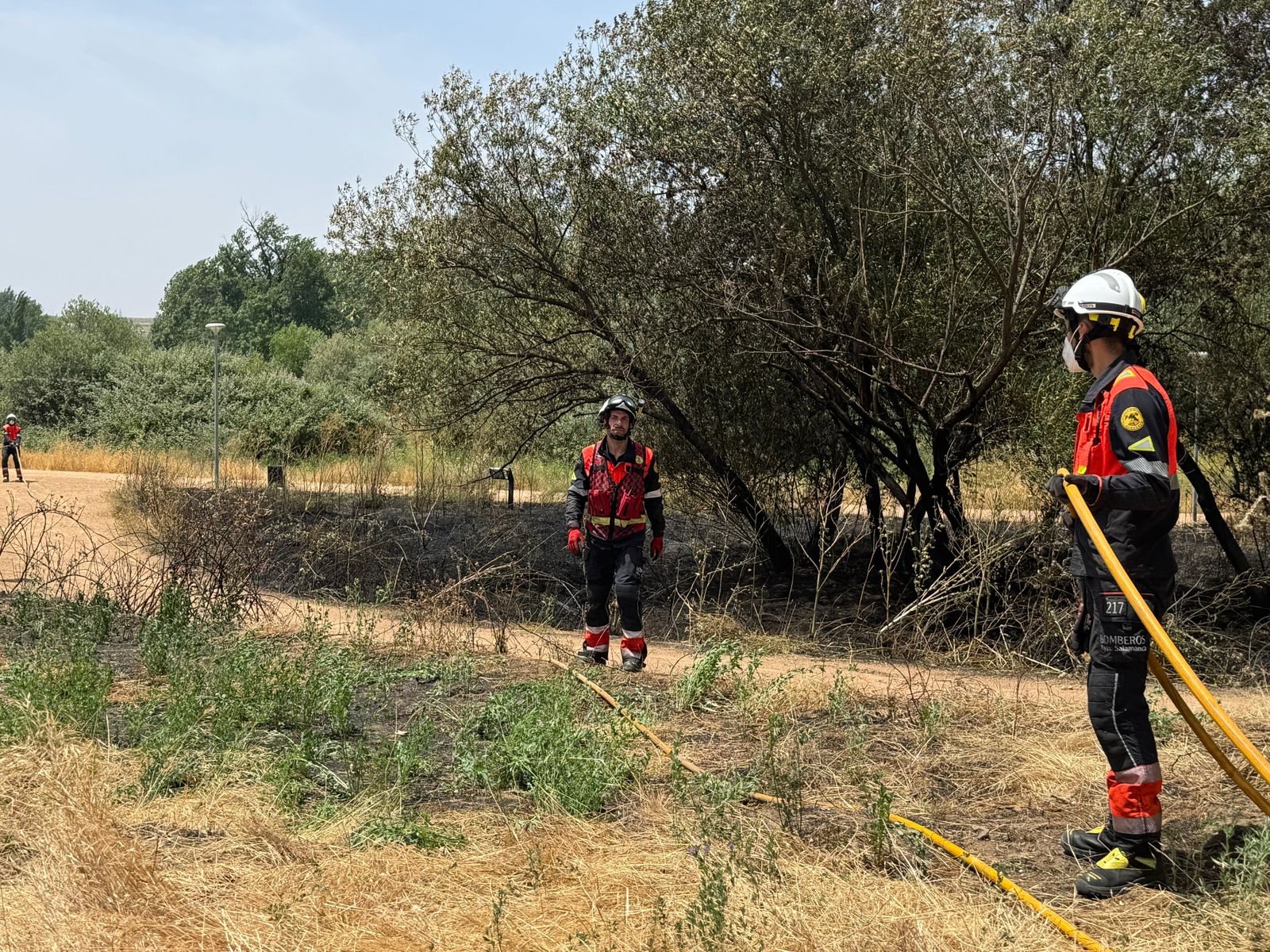 Un incendio junto a los huertos urbanos moviliza varias dotaciones de los bomberos de Salamanca Un incendio junto a los huertos urbanos moviliza varias dotaciones de los bomberos de Salamanca