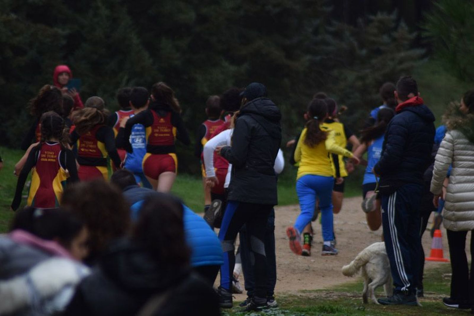 cross-de-otono-en-el-bosque-de-valorio-46