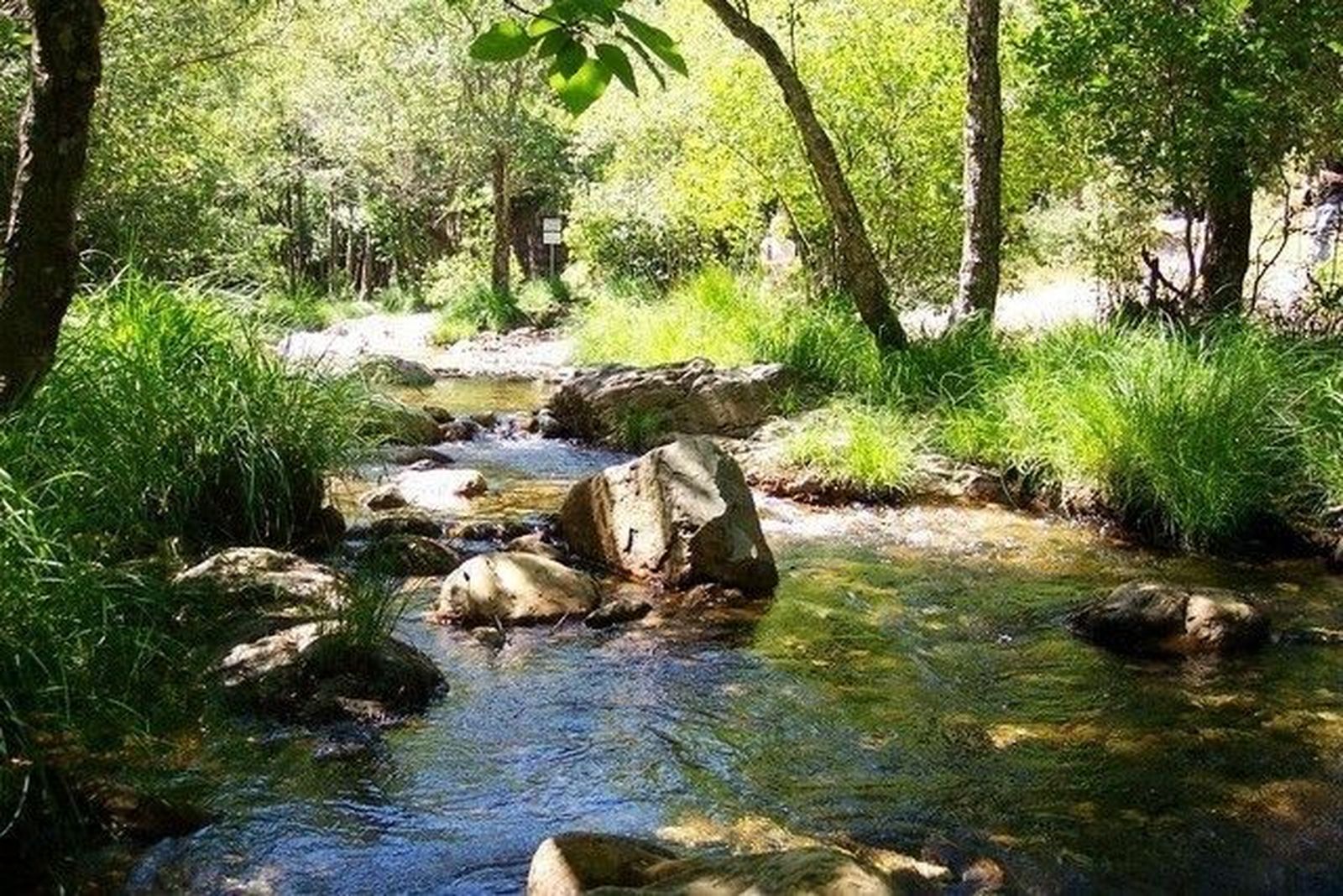 La Junta estrena una biblioteca virtual sobre medio ambiente a través de su página web