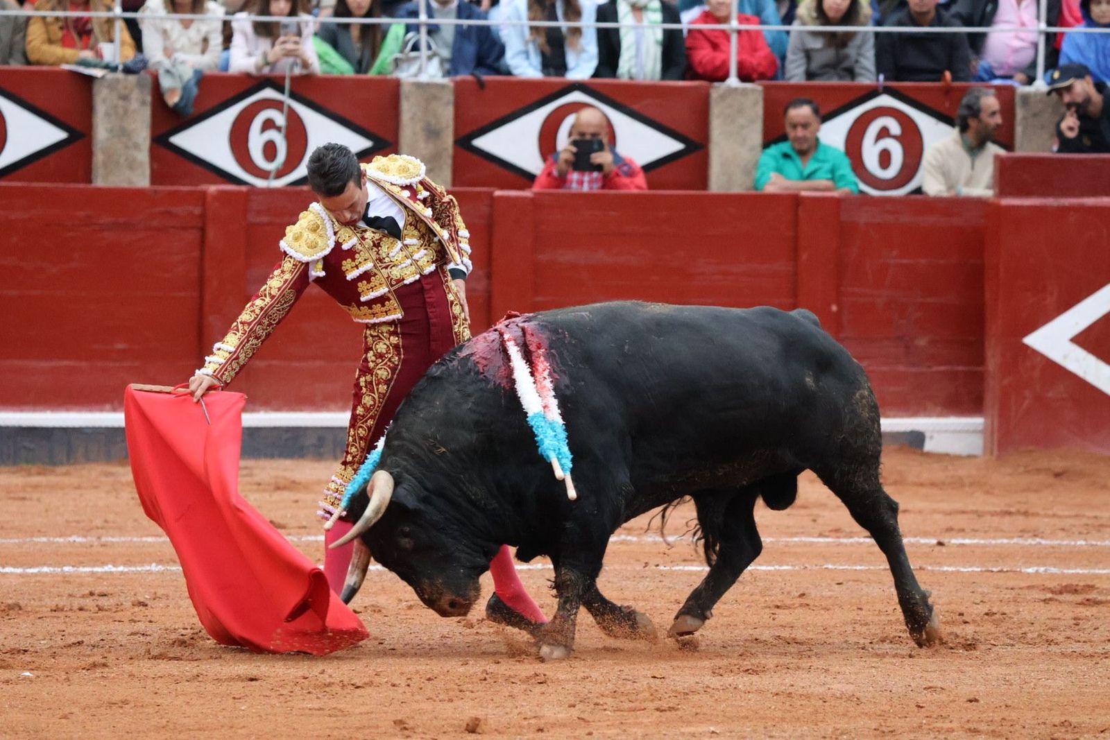 20230916184906-img-5596