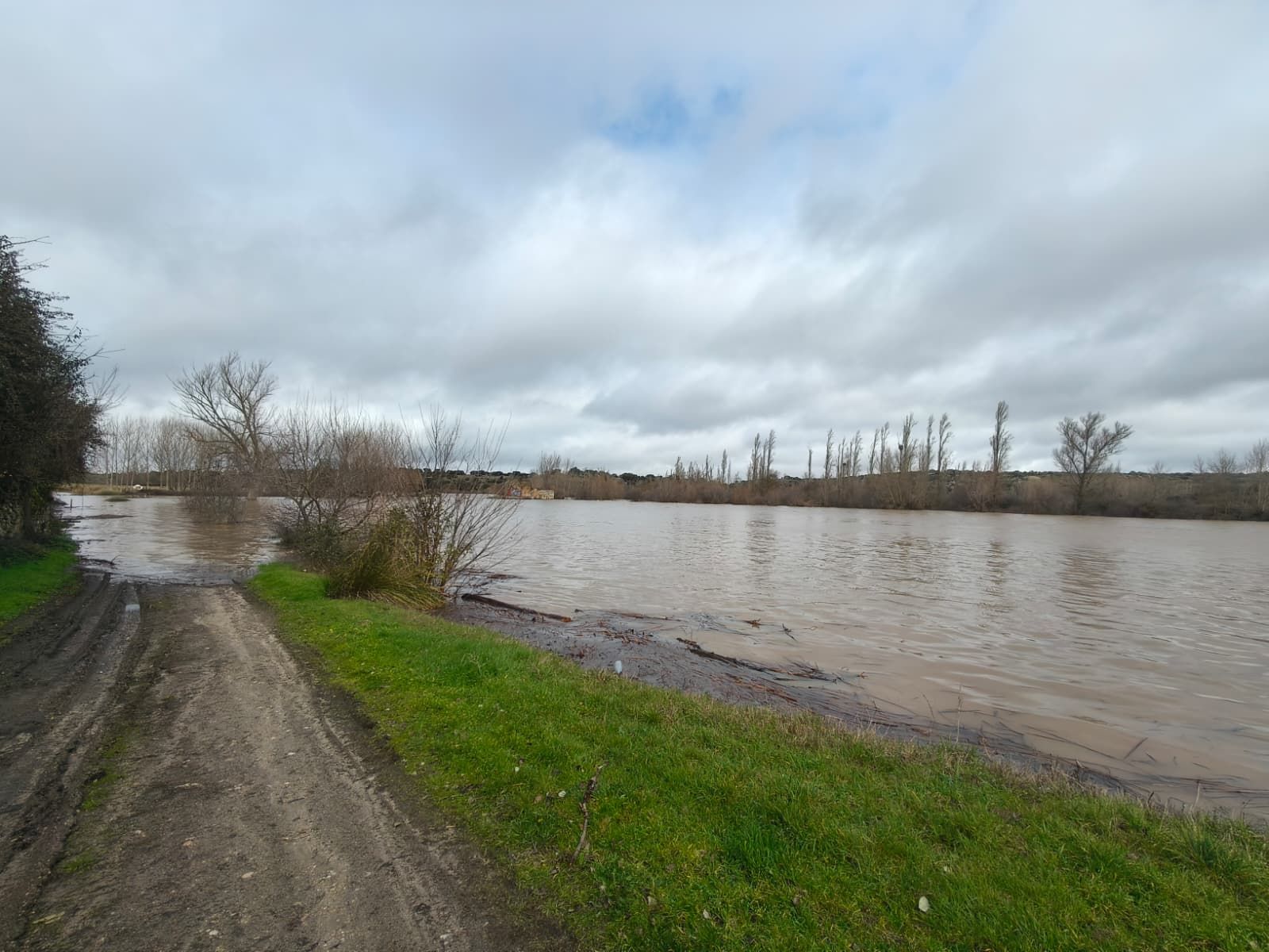 El Tormes desbordado en Ledesma  (1).jpeg