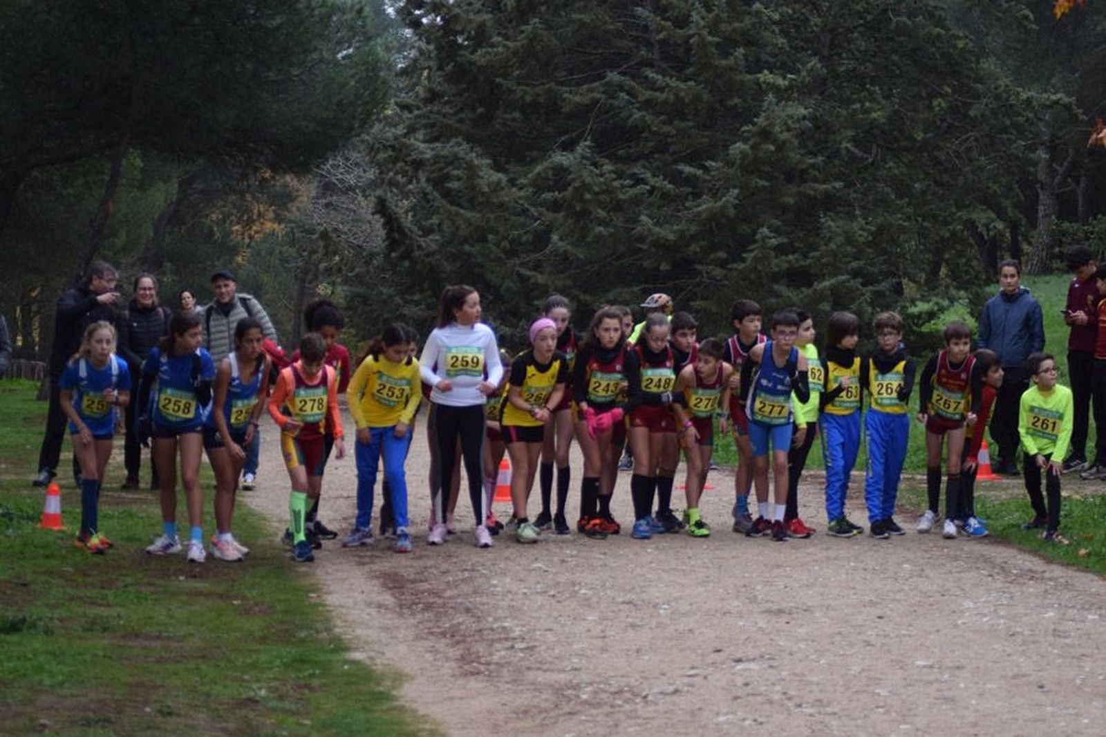 cross-de-otono-en-el-bosque-de-valorio-30