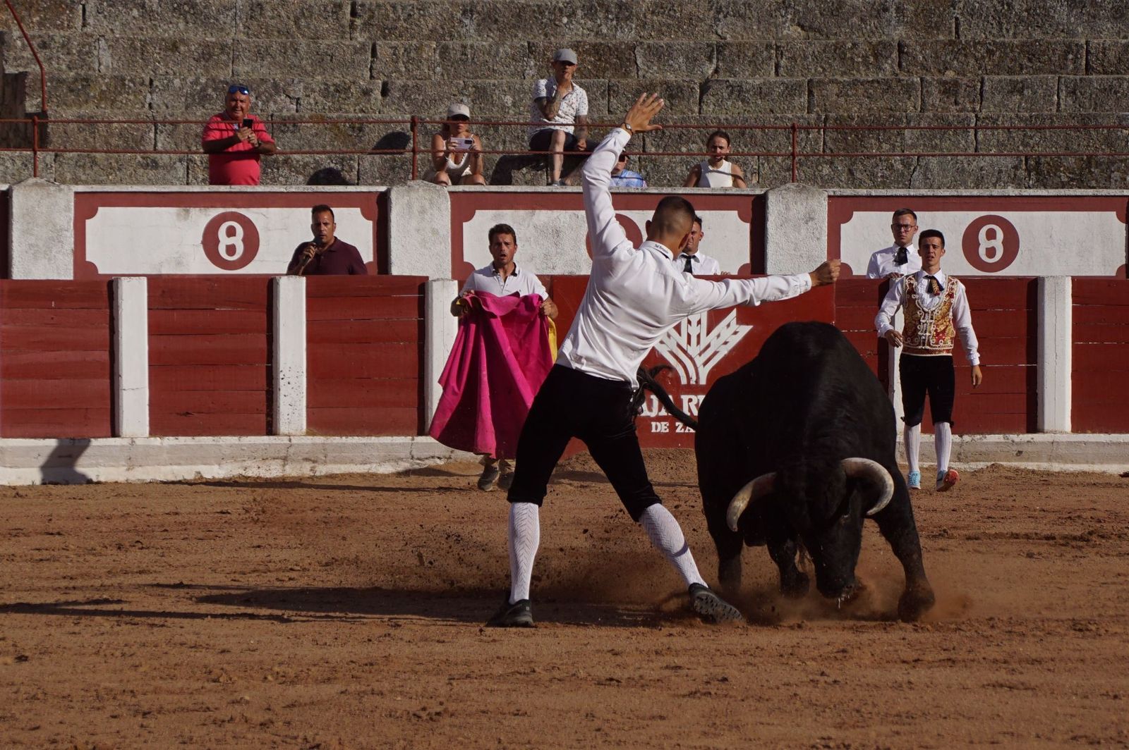 whatsapp-image-2023-07-02-at-22-40-46