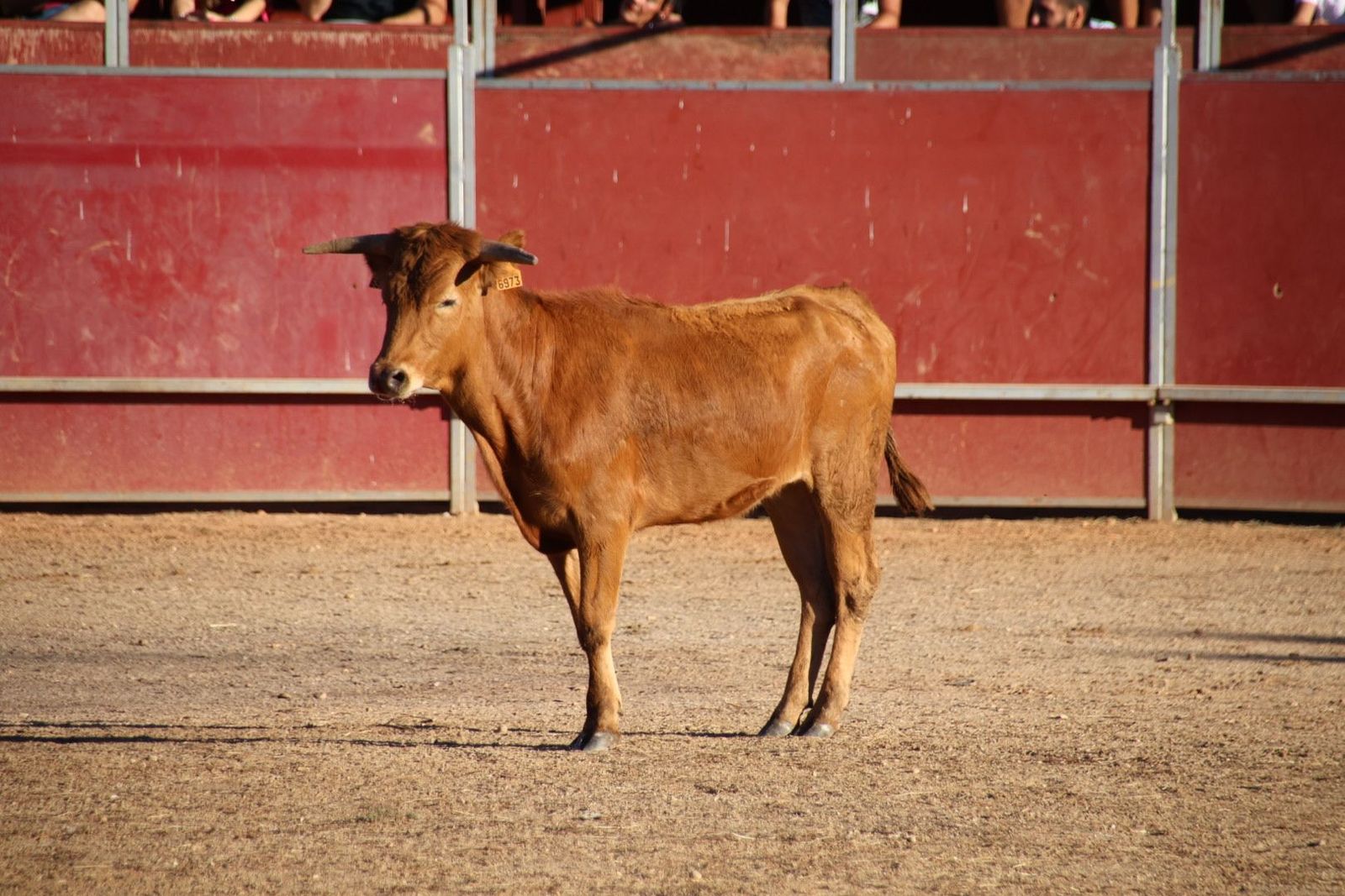 20240816185856-img-3994