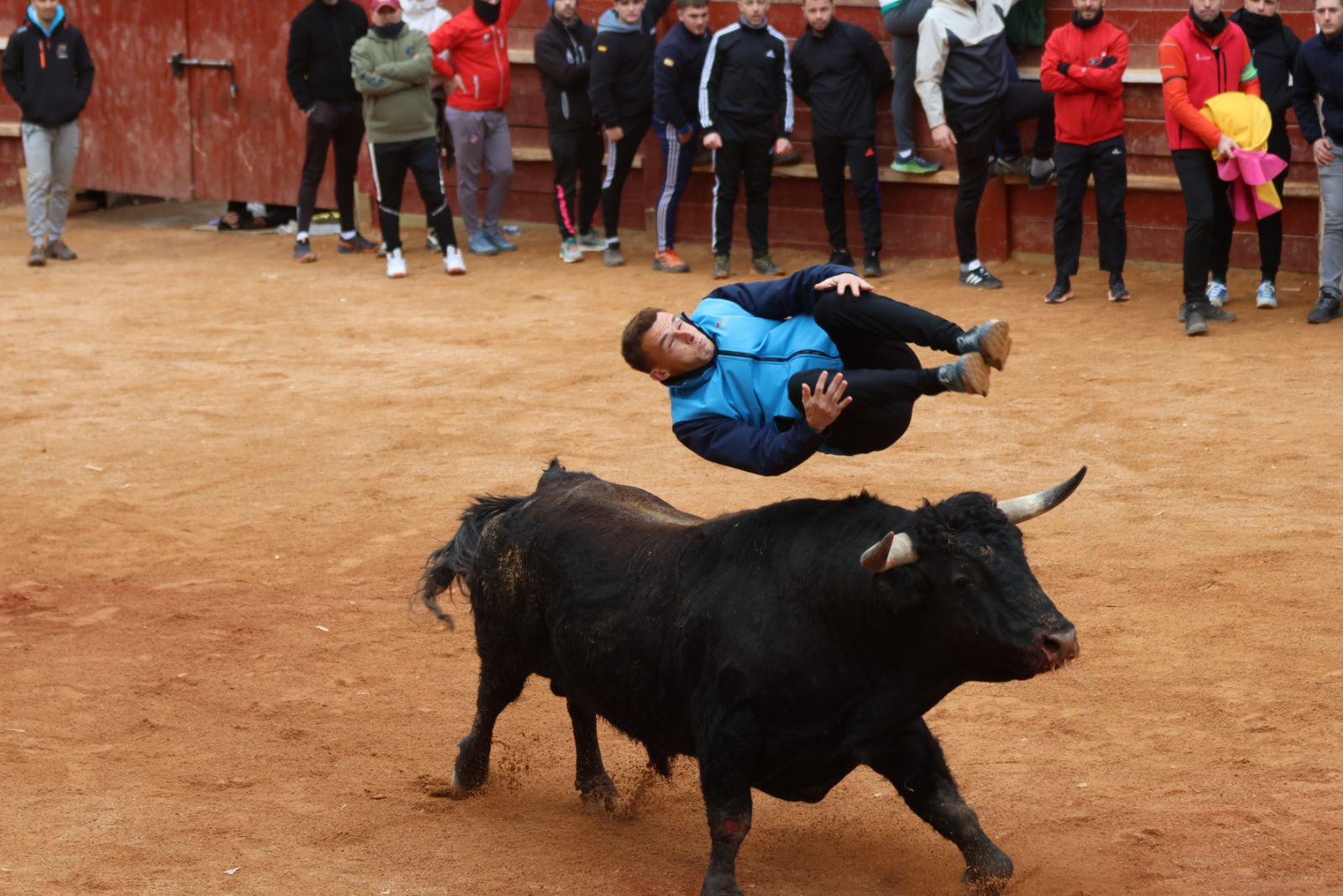 Destacados saltos, quiebros y toreo de capa en la capea del Lunes de Carnaval en Ciudad Rodrigo