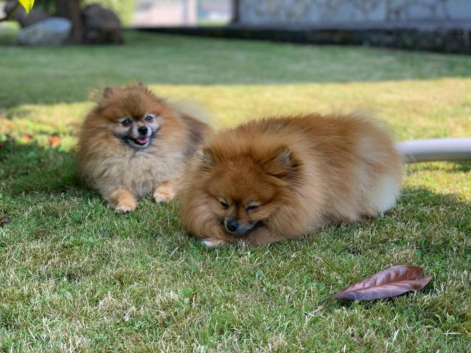 Fotonoticia 20191128152934 1920