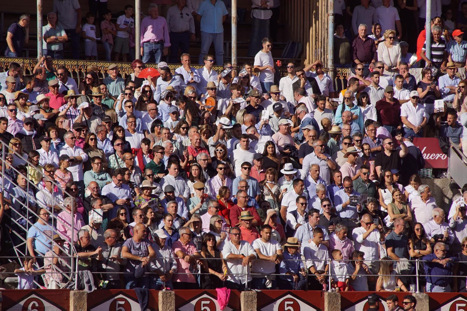 whatsapp-image-2024-09-14-at-20-09-49