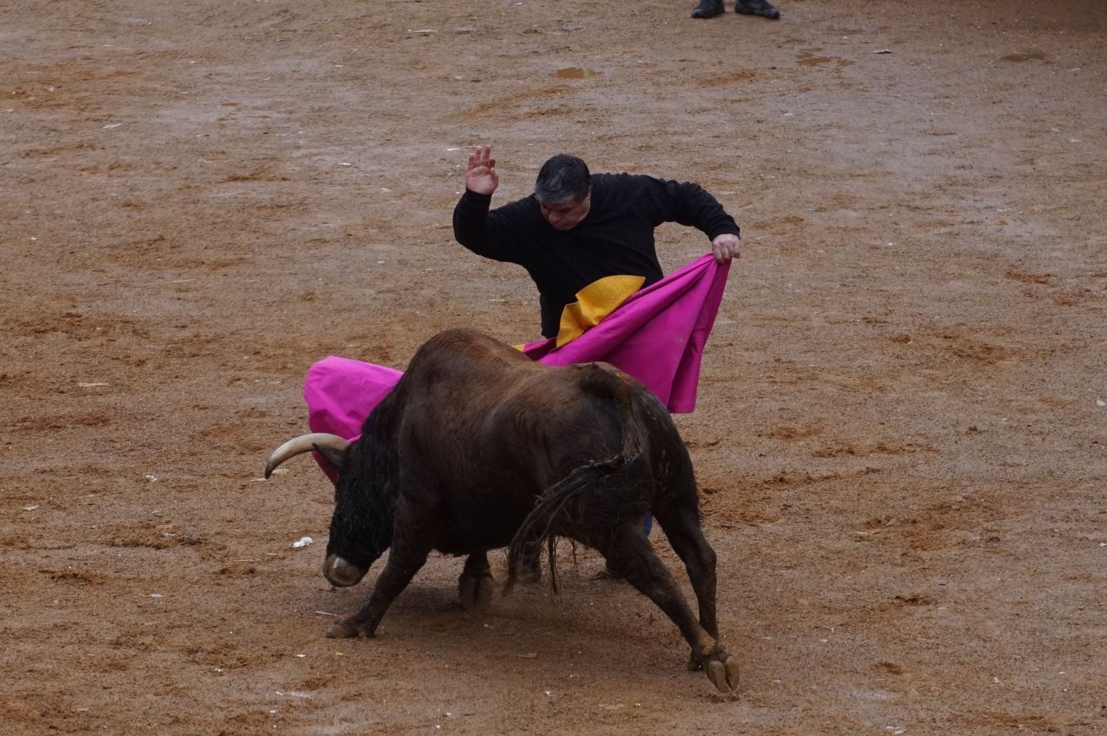 whatsapp-image-2024-02-11-at-14-02-05