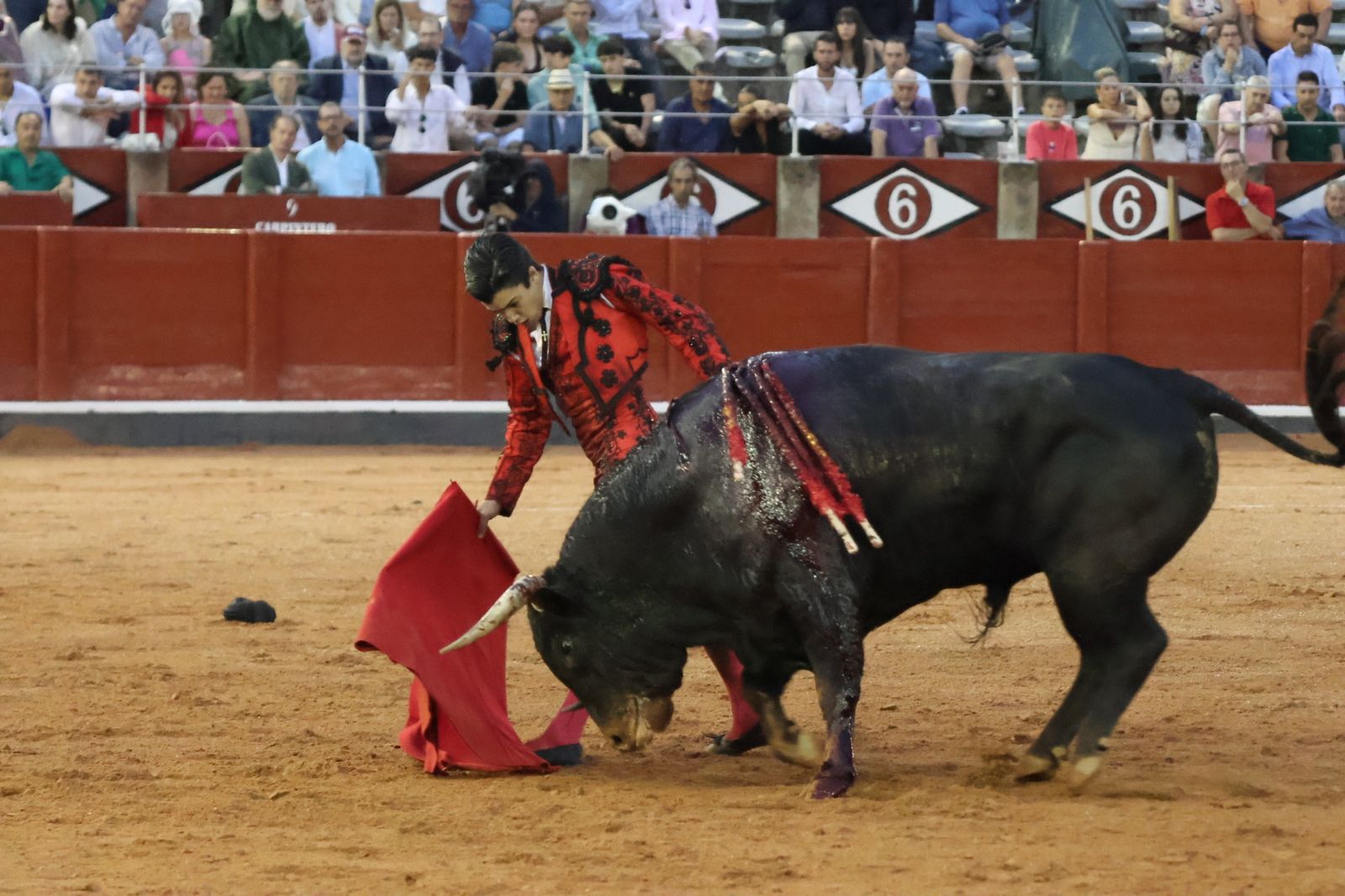 Ismael Martín, Marco Pérez y el aclamado regreso de Morante de la Puebla: su paso por La Glorieta en imágenes