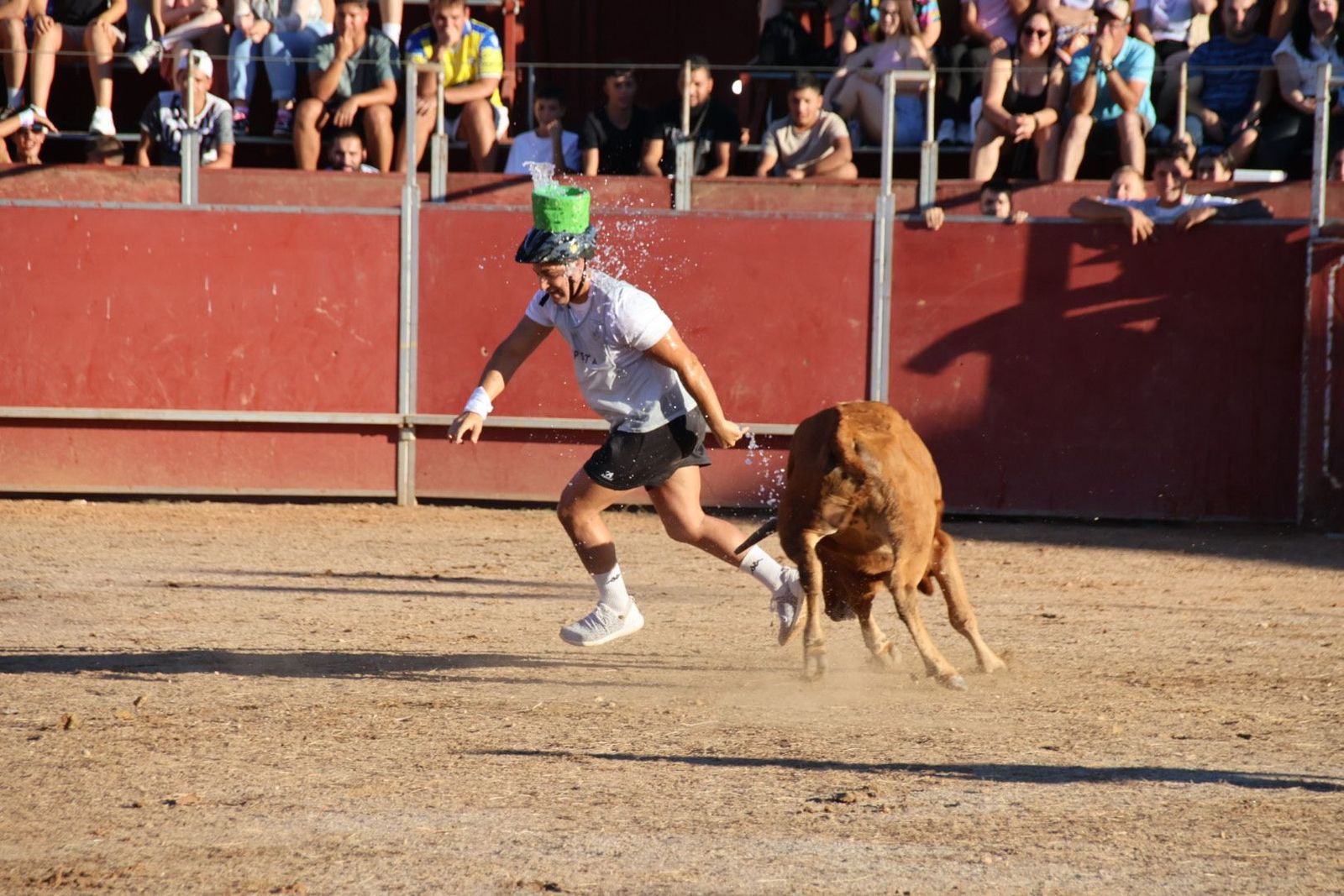 20240816190203-img-4000