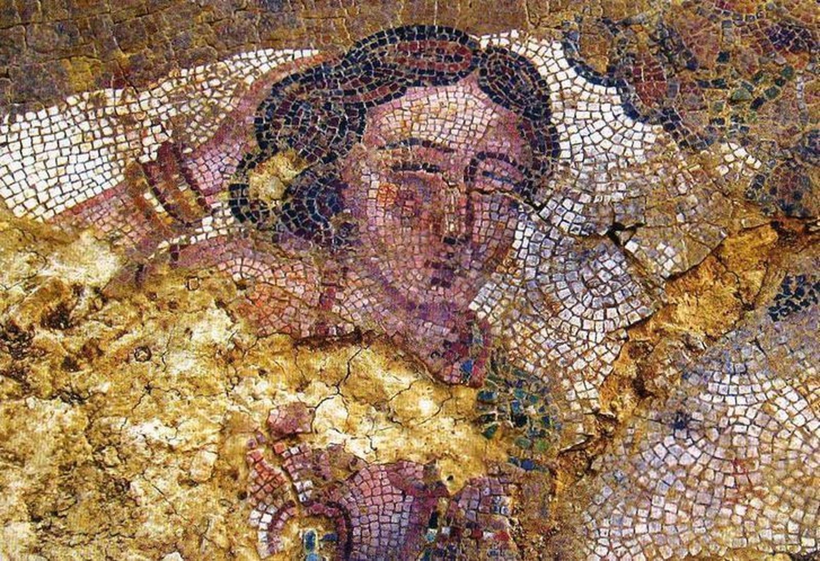 Villa Romana de Camarzana de Tera