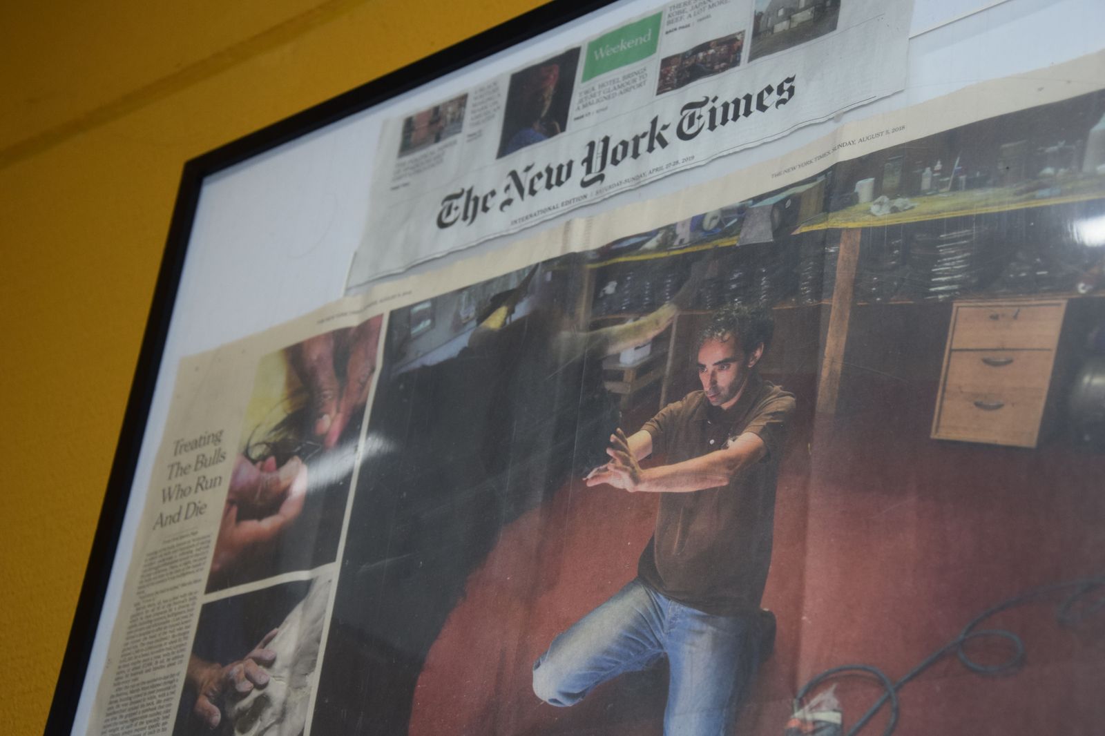 taxidermia-en-salamanca-42