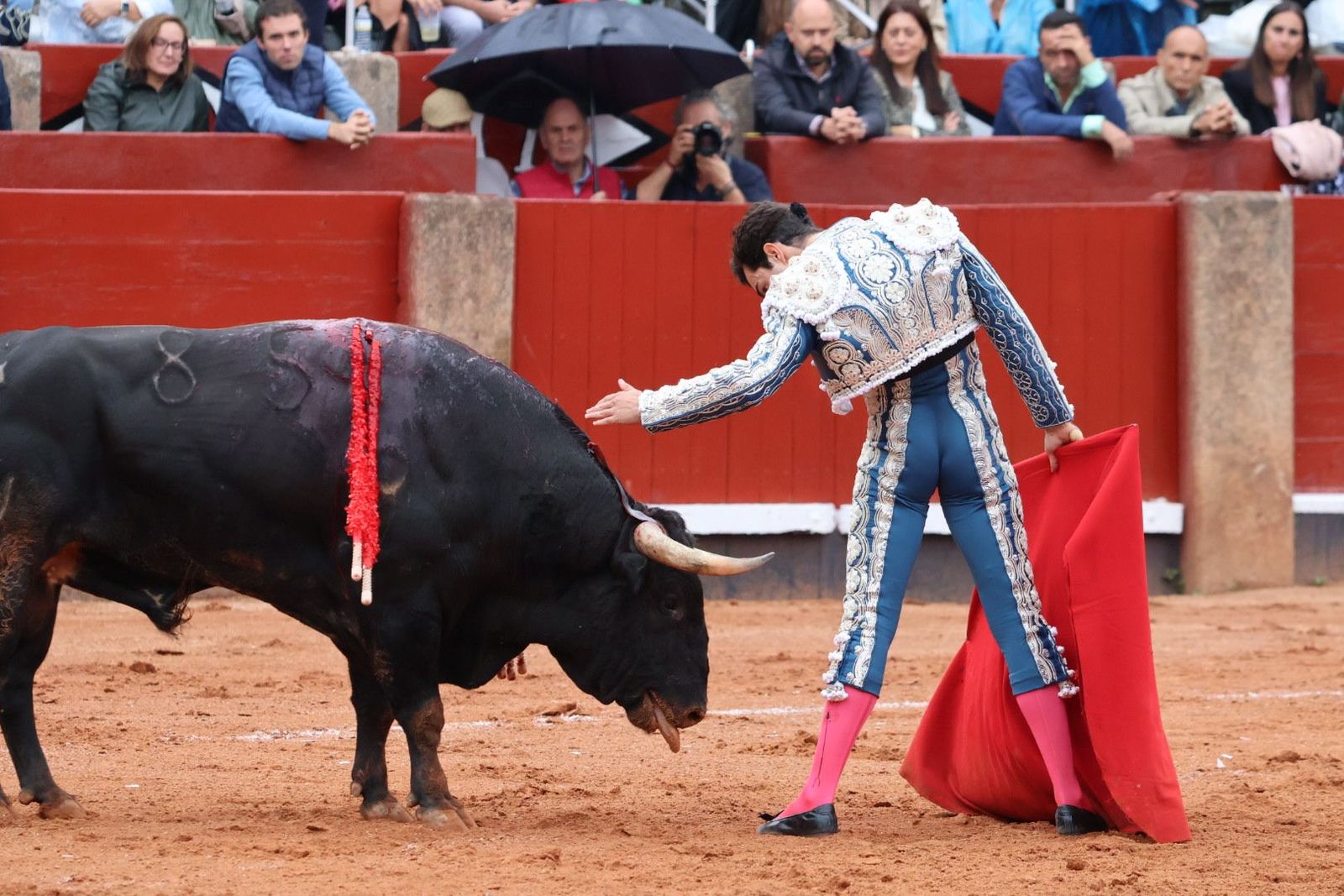 20230916180302-img-5453