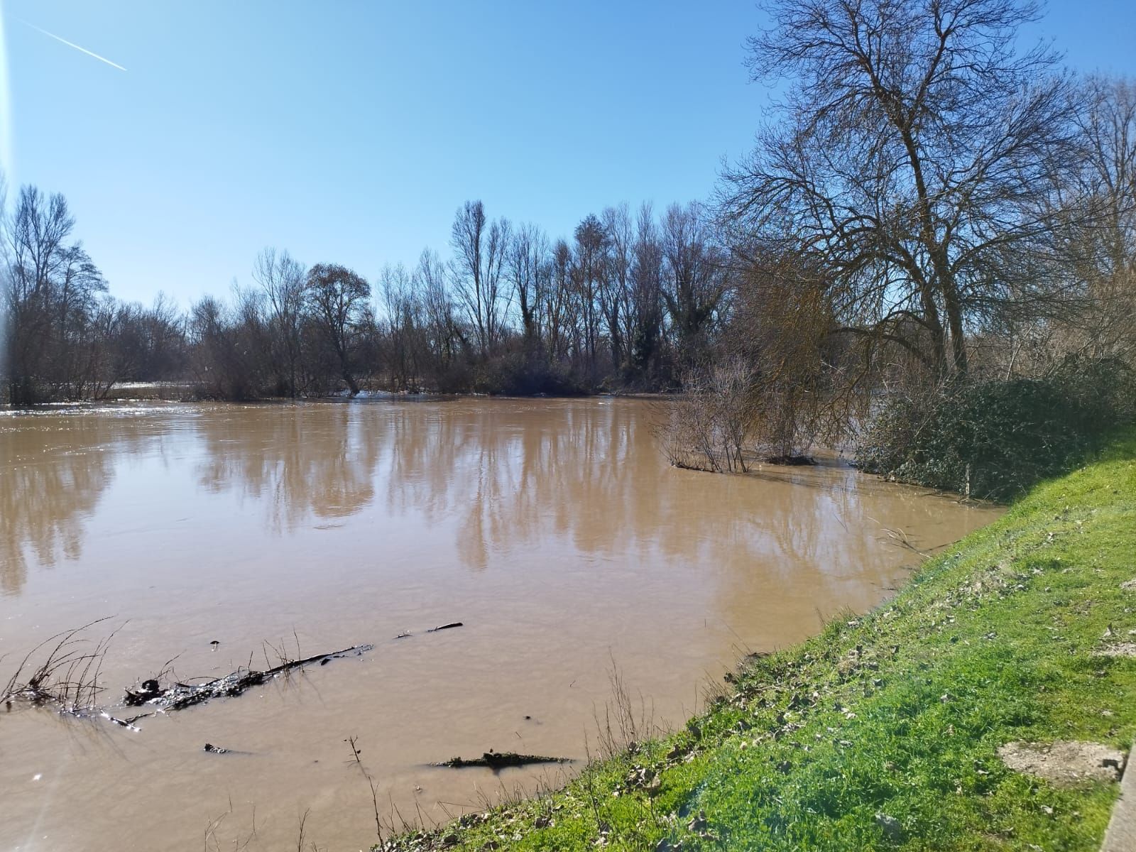 whatsapp-image-2024-01-20-at-13-18-46-1