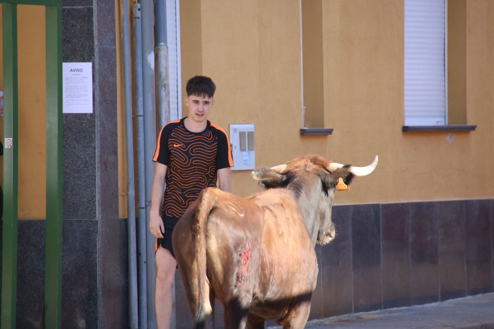 20240817183434-img-4448