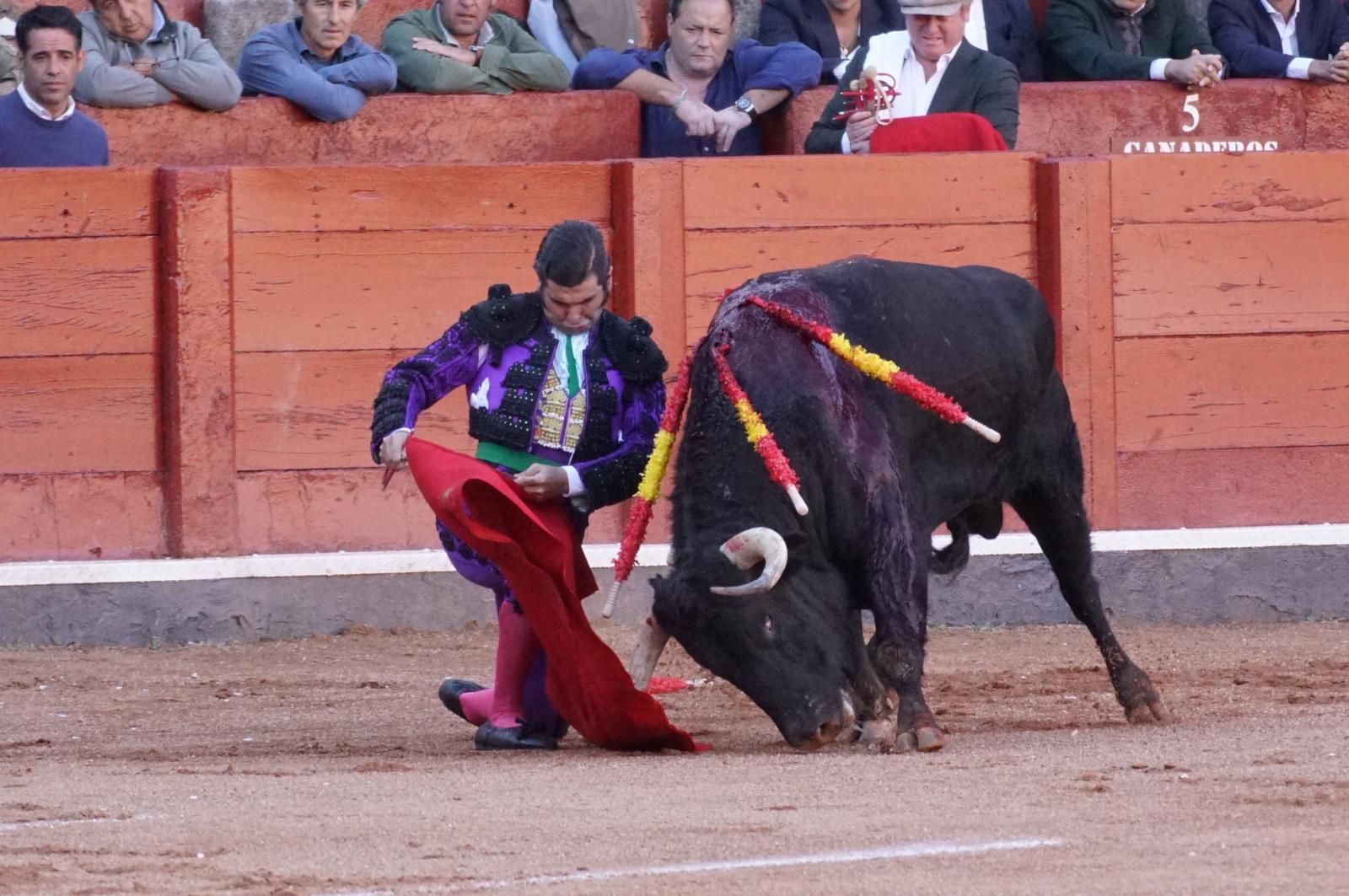 La corrida concurso para despedir la feria con Morante, Talavante y Borja Jiménez: imágenes de los mejores momentos en La Glorieta