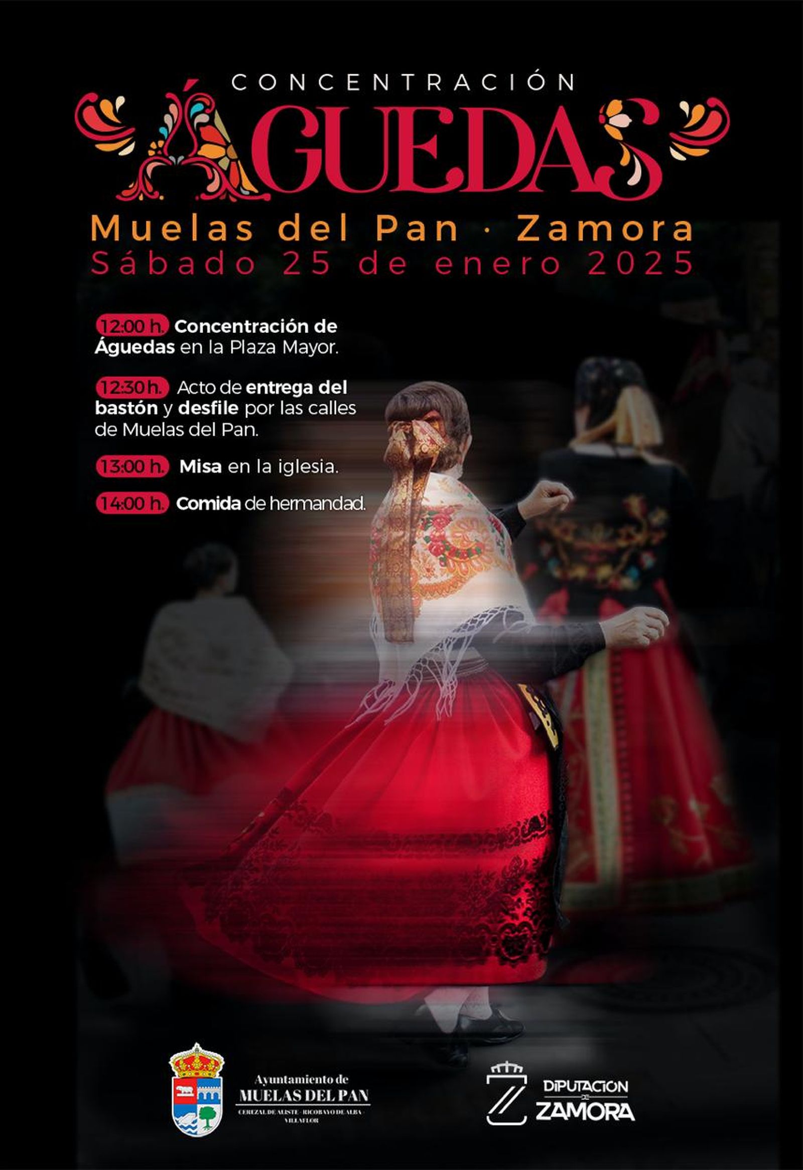 WhatsApp Image 2025 01 03 at 11.47.53