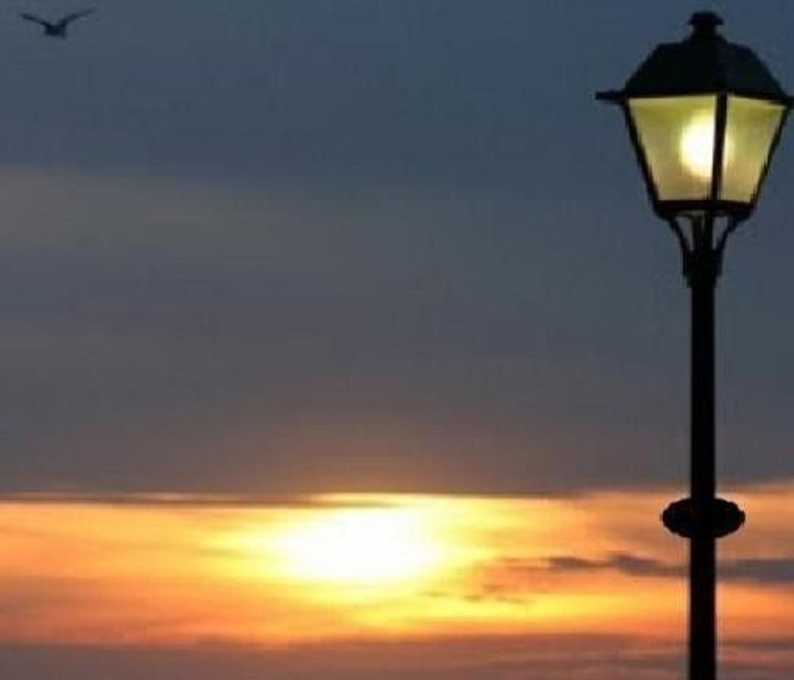 La Agrupación Duero-Douro inaugura el proyecto de prestación de servicios energéticos