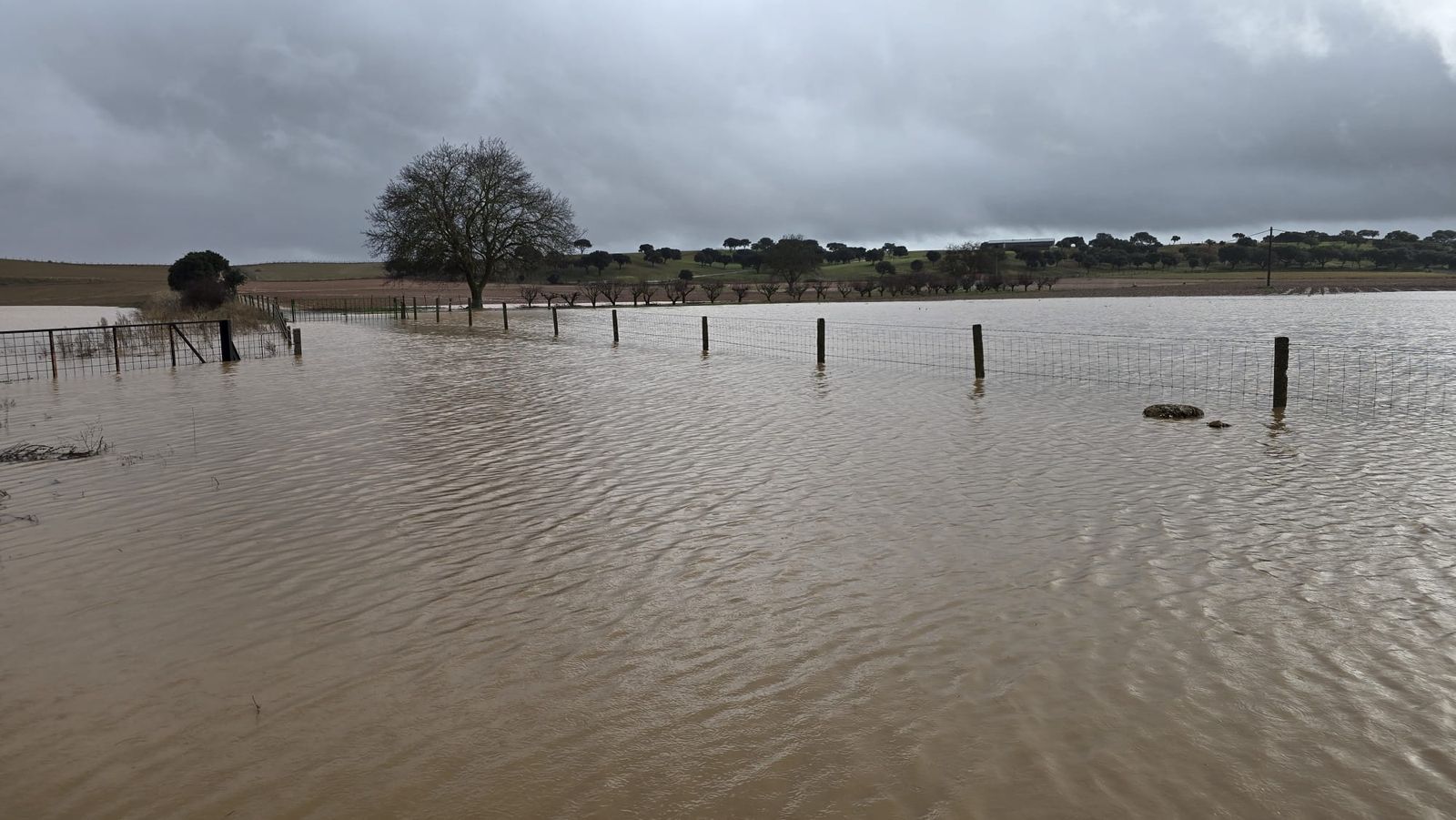 DSA 310, Carretera de Matilla inundada (8).jpeg