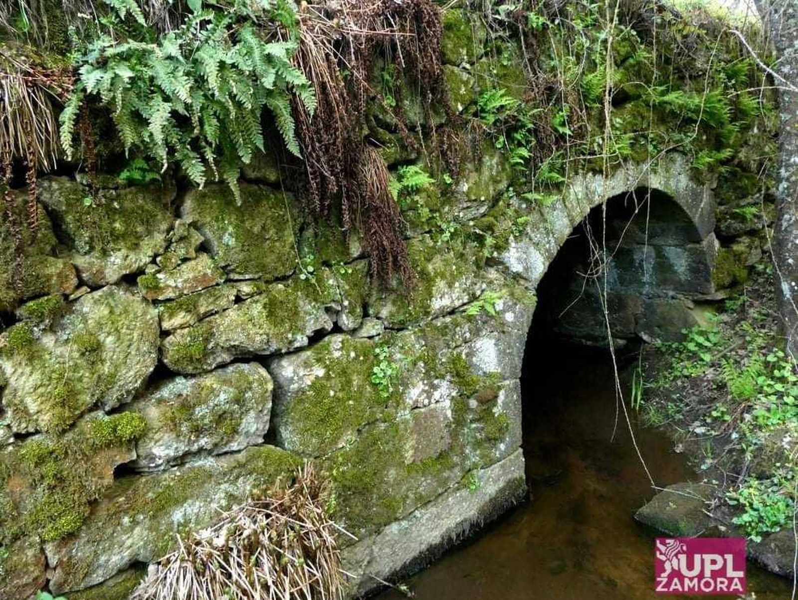 UPL, disconforme con la respuesta sobre los daños en el Puente Romano entre Palacios y Vime por la extensión de la fibra óptica