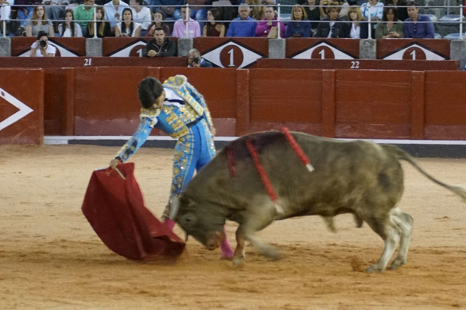 Clase práctica con alumnos de la Escuela de Tauromaquia de Salamanca (Diego Mateos, Noel García y Álvaro Rojo con erales de Esteban Isidro)