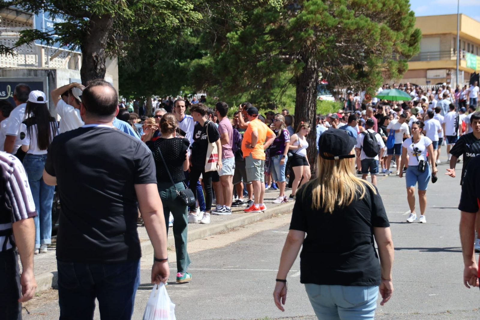 whatsapp-image-2024-06-23-at-17-02-45-1