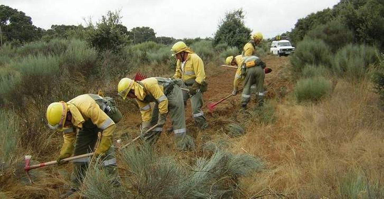 Prorrogado el seguro colectivo de accidentes derivados de las labores de extinción de incendios forestales
