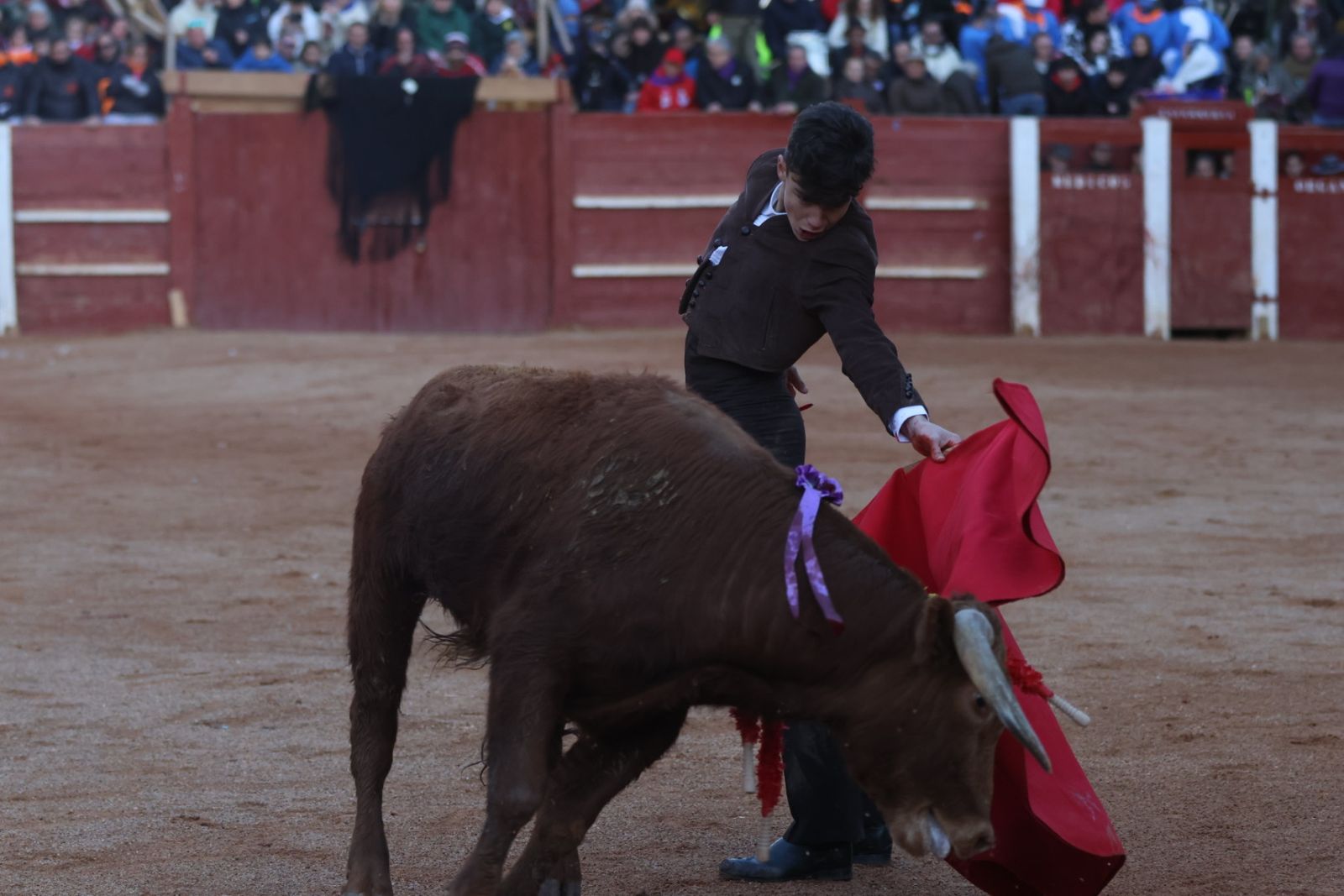 Festival taurino del Sábado en el Carnaval del Toro 2026 de Ciudad Rodrigo