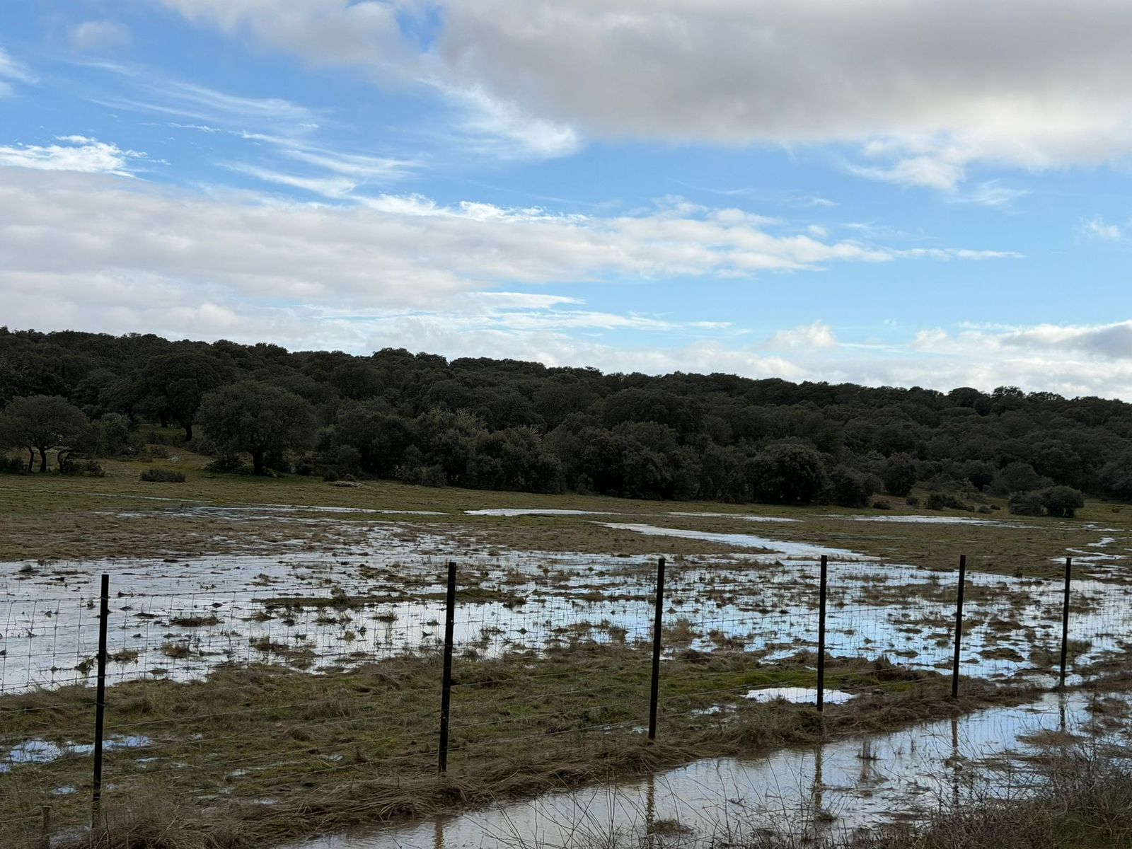 El campo anegado de agua en la zona del Campo Charro