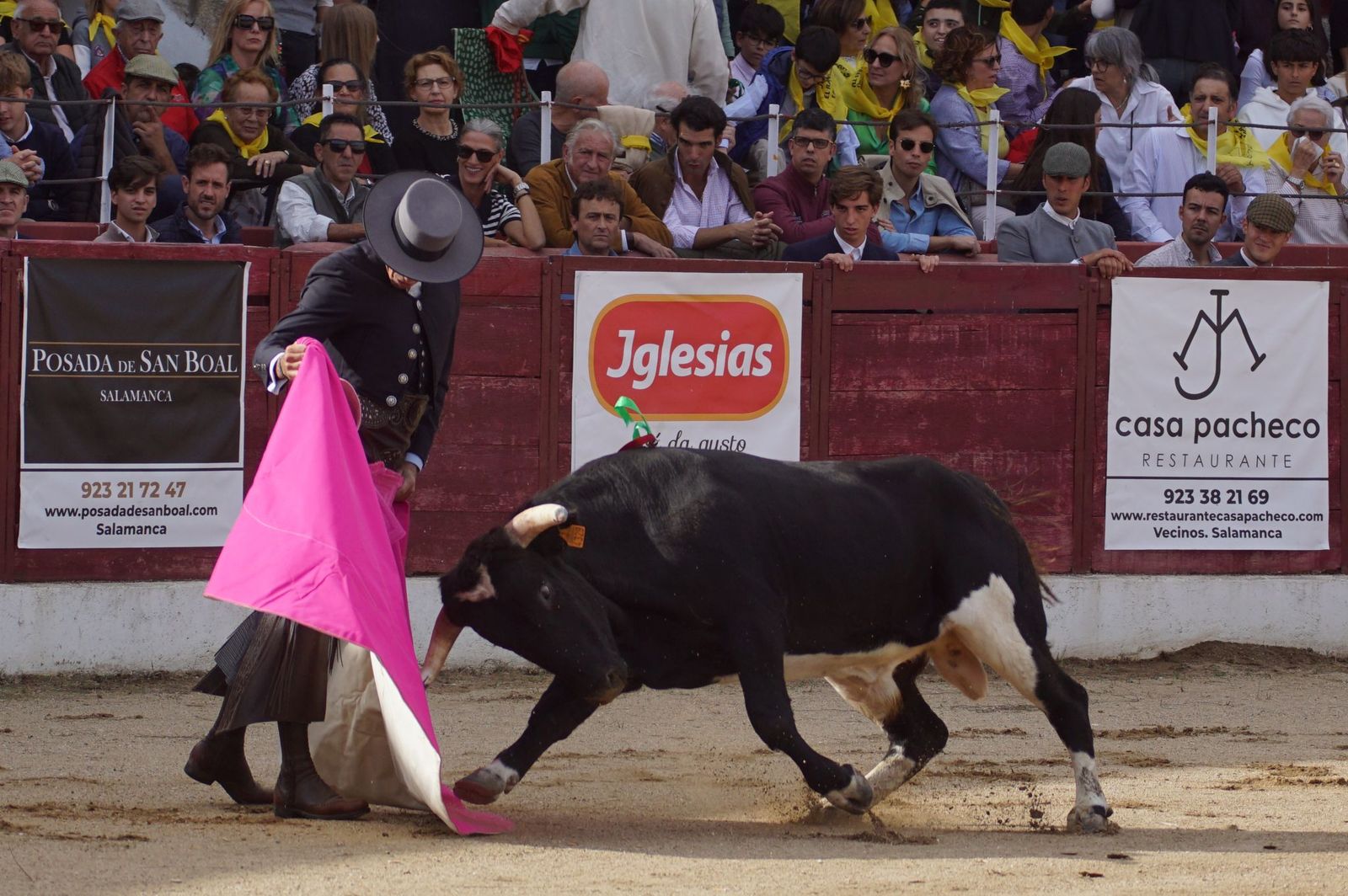 whatsapp-image-2024-10-05-at-19-57-48