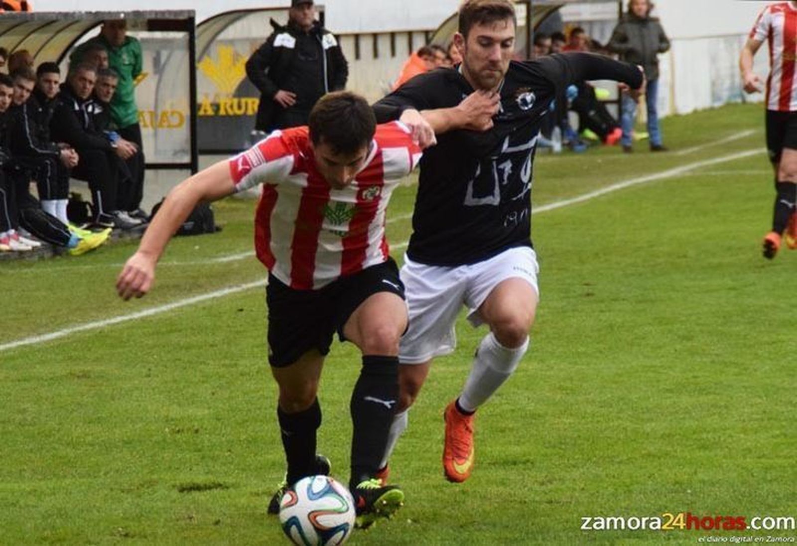 Revive el Zamora CF 1-0 Burgos CF