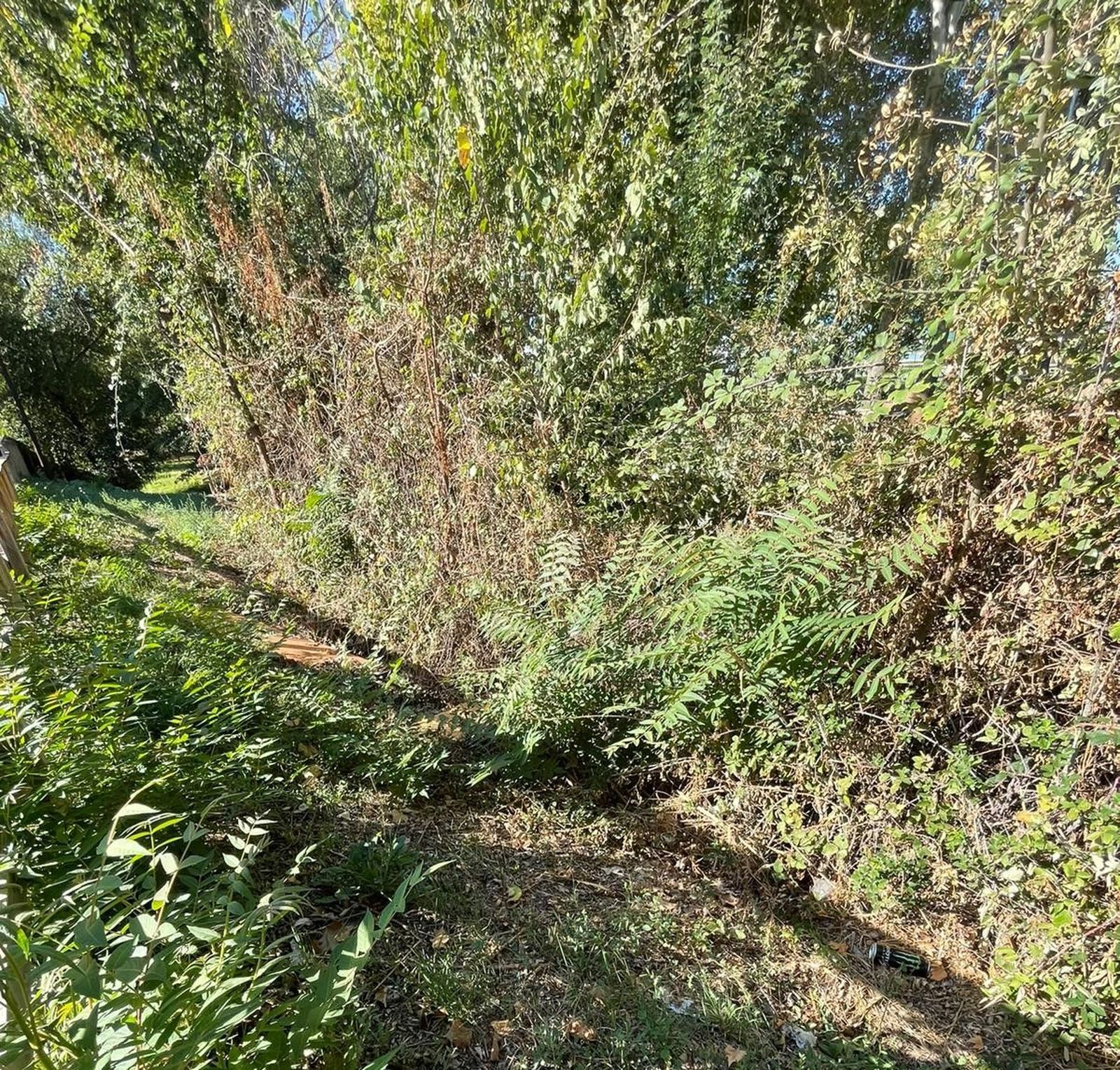 denuncian-el-estado-del-regato-situado-en-el-parque-lazarillo-de-tormes-de-tejares-4