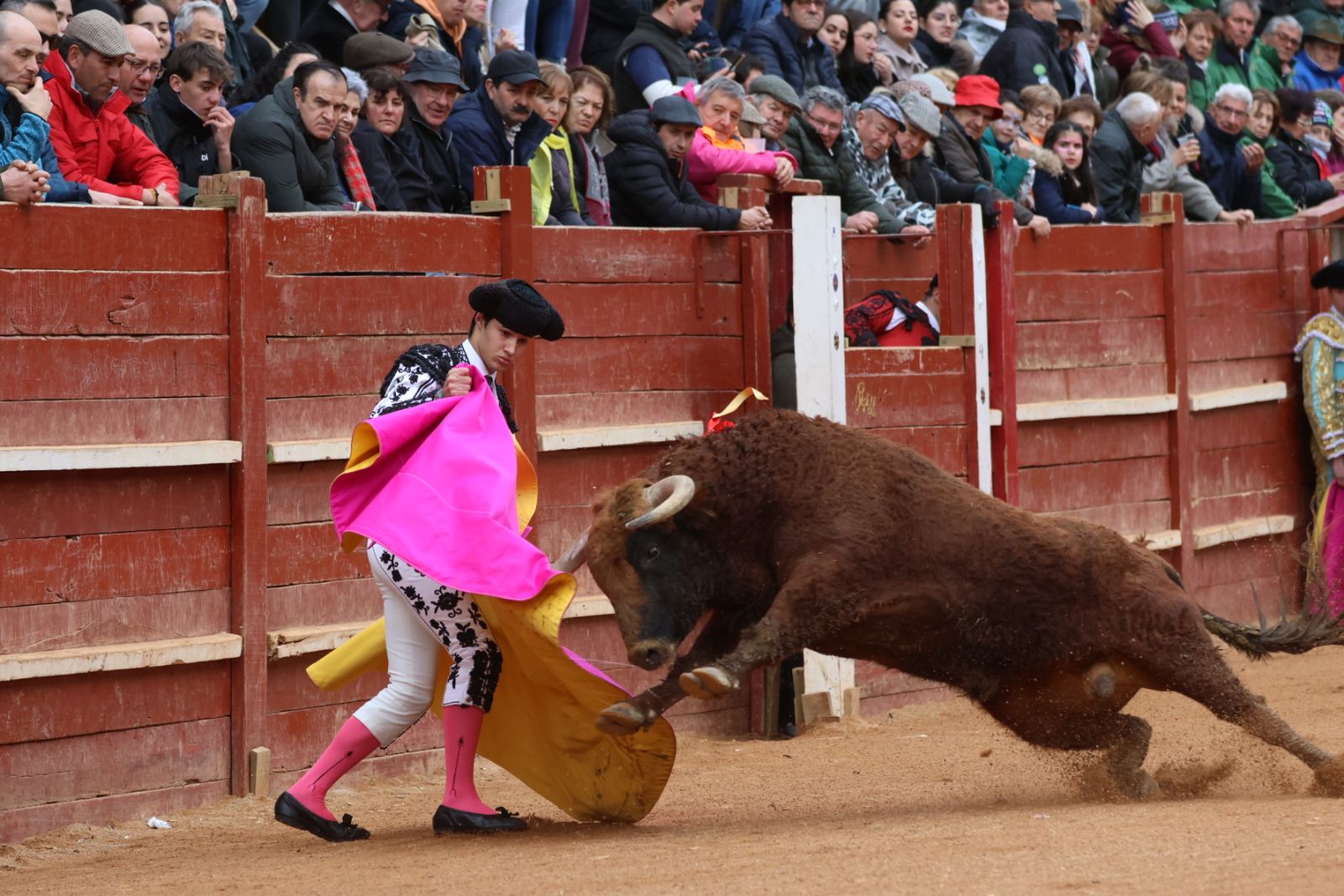 Novillada con picadores de lunes en el Carnaval del Toro de Ciudad Rodrigo 2026