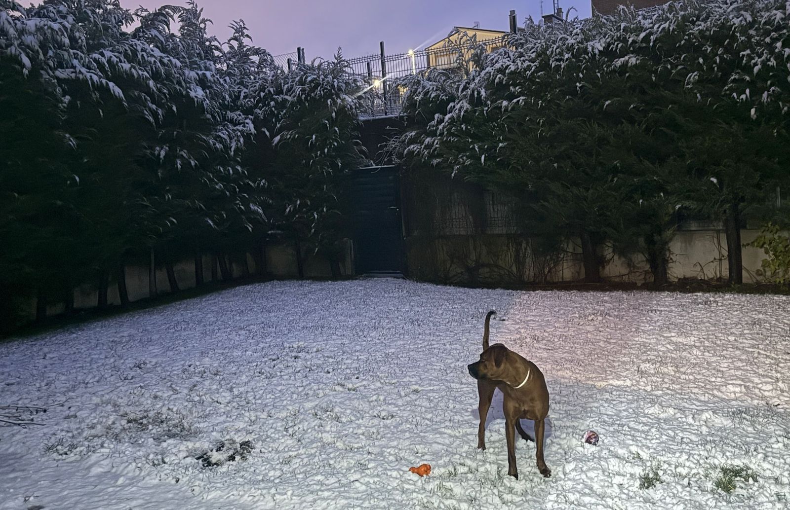 La nieve anega carreteras y tiñe de blanco Salamanca capital y provincia: imágenes de la nevada de este 28 de enero