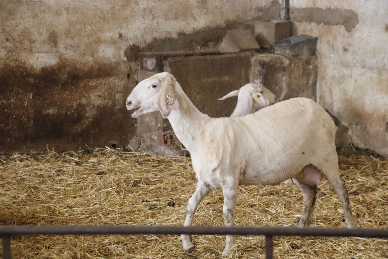 20220520101935-mg-8435