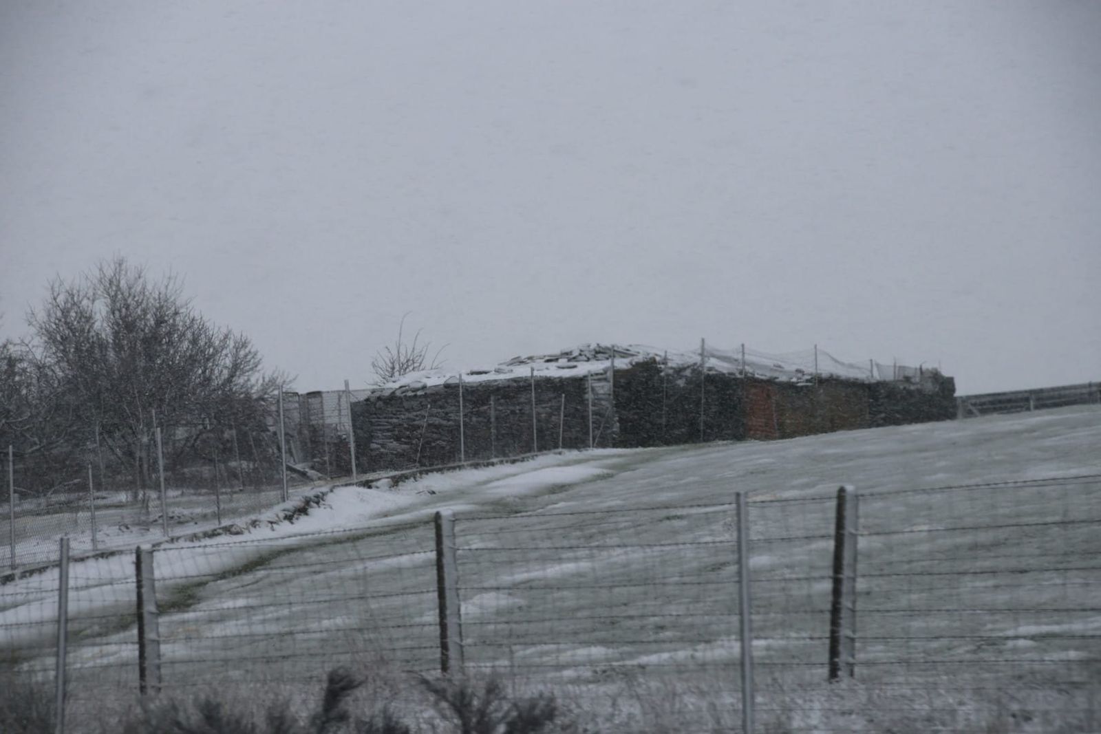 whatsapp-image-2024-01-19-at-16-43-10-1