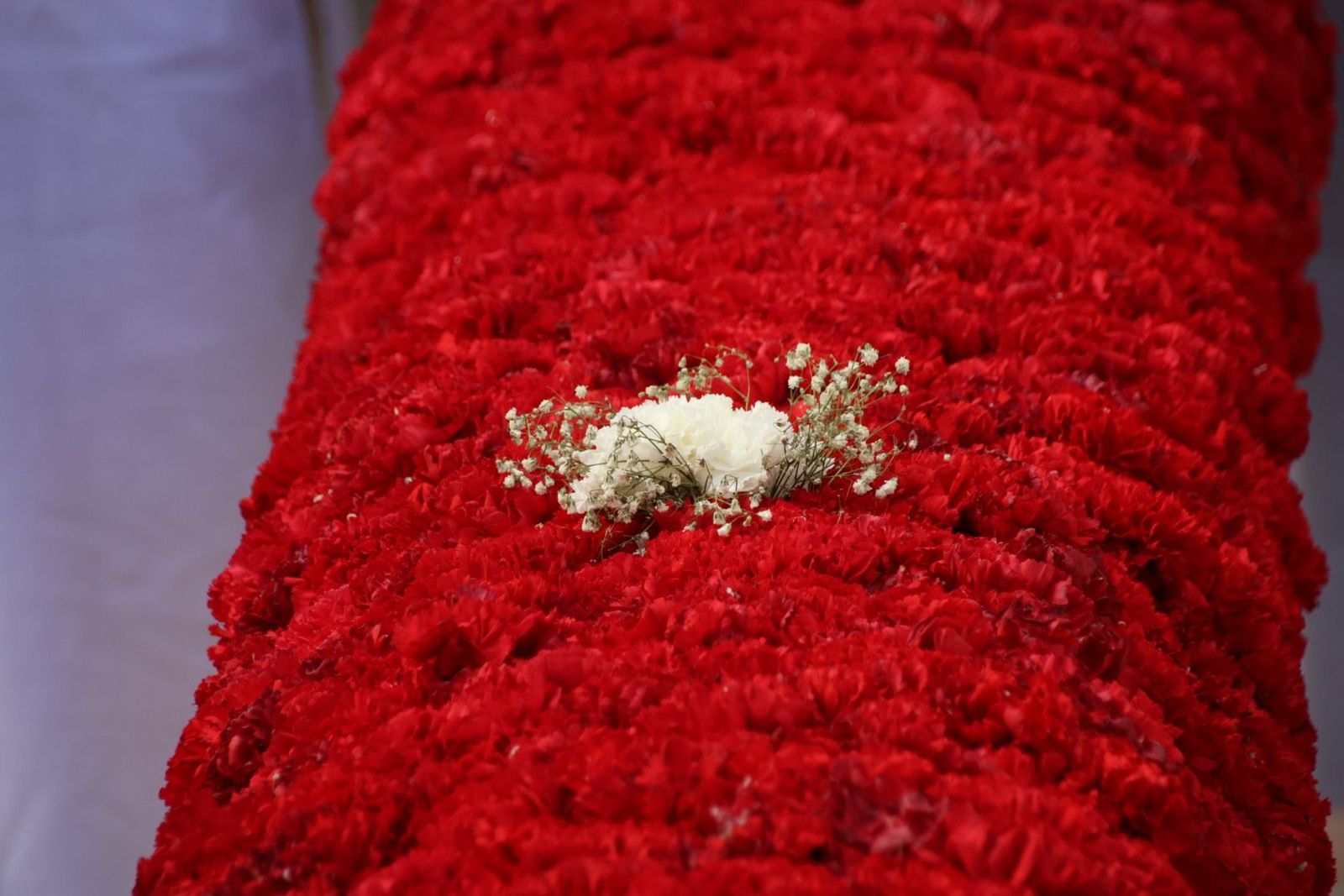 20230409112147-img-3166