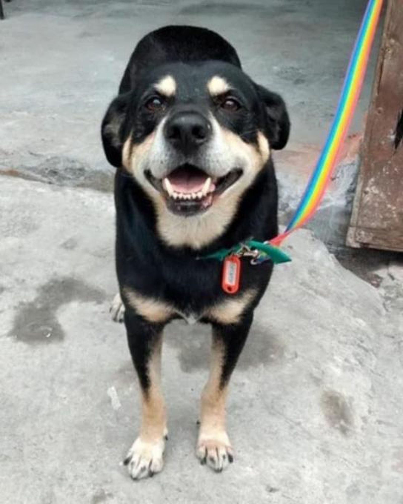 'Negro'. Foto de LinkedIn