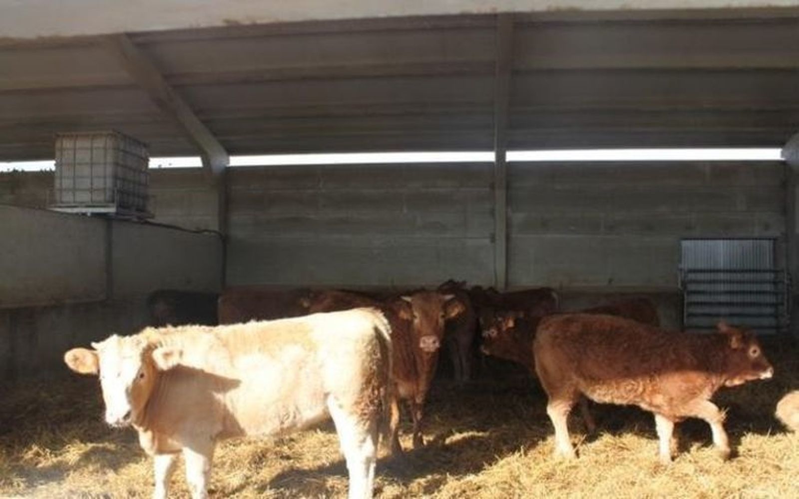 Los estudios de costes y rentas de las explotaciones, a disposición del gremio