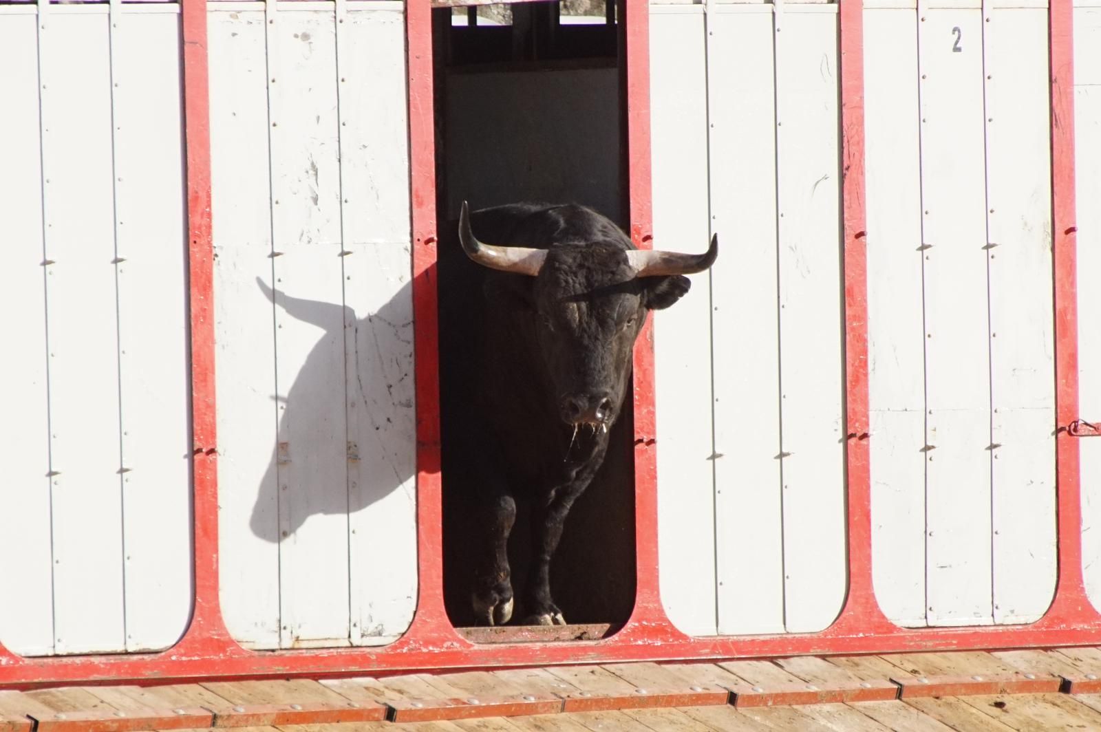 whatsapp-image-2023-09-08-at-19-29-31