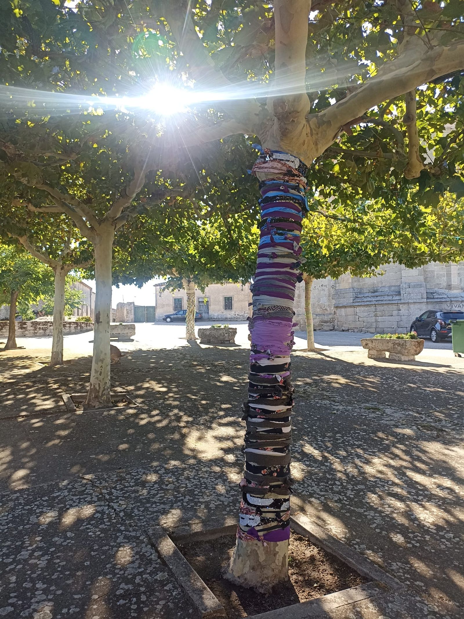 los-vecinos-de-roelos-visten-los-arboles-3