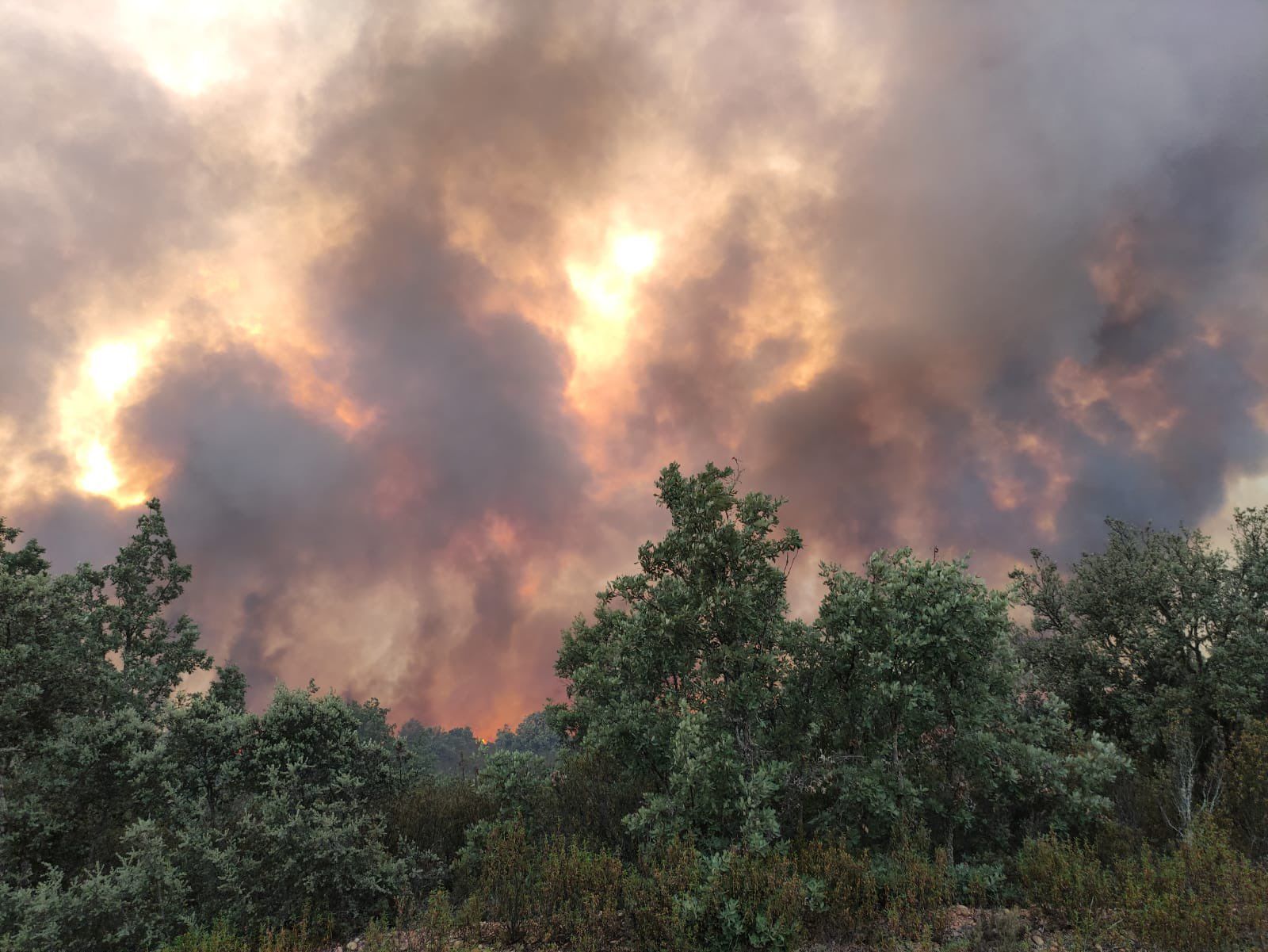 Incendio de la Sierra de la Culebra 2 Incendio de la Sierra de la Culebra 2