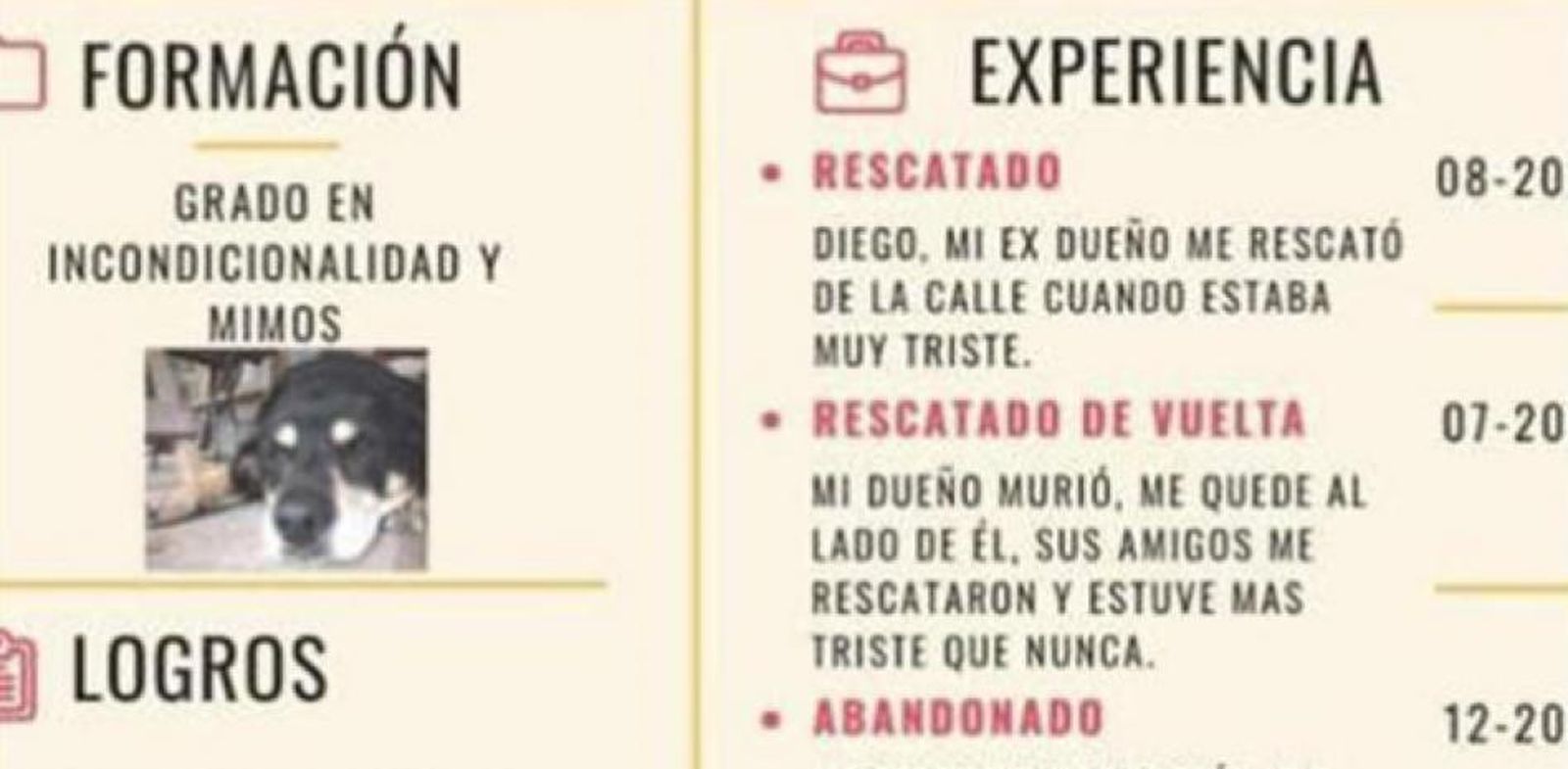 CV perro. Foto Linkedln