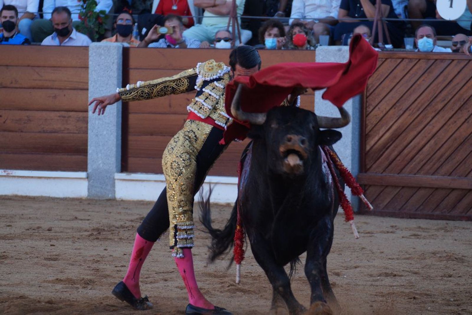 guijuelo-toros-el-puerto-de-san-lorenzo-27