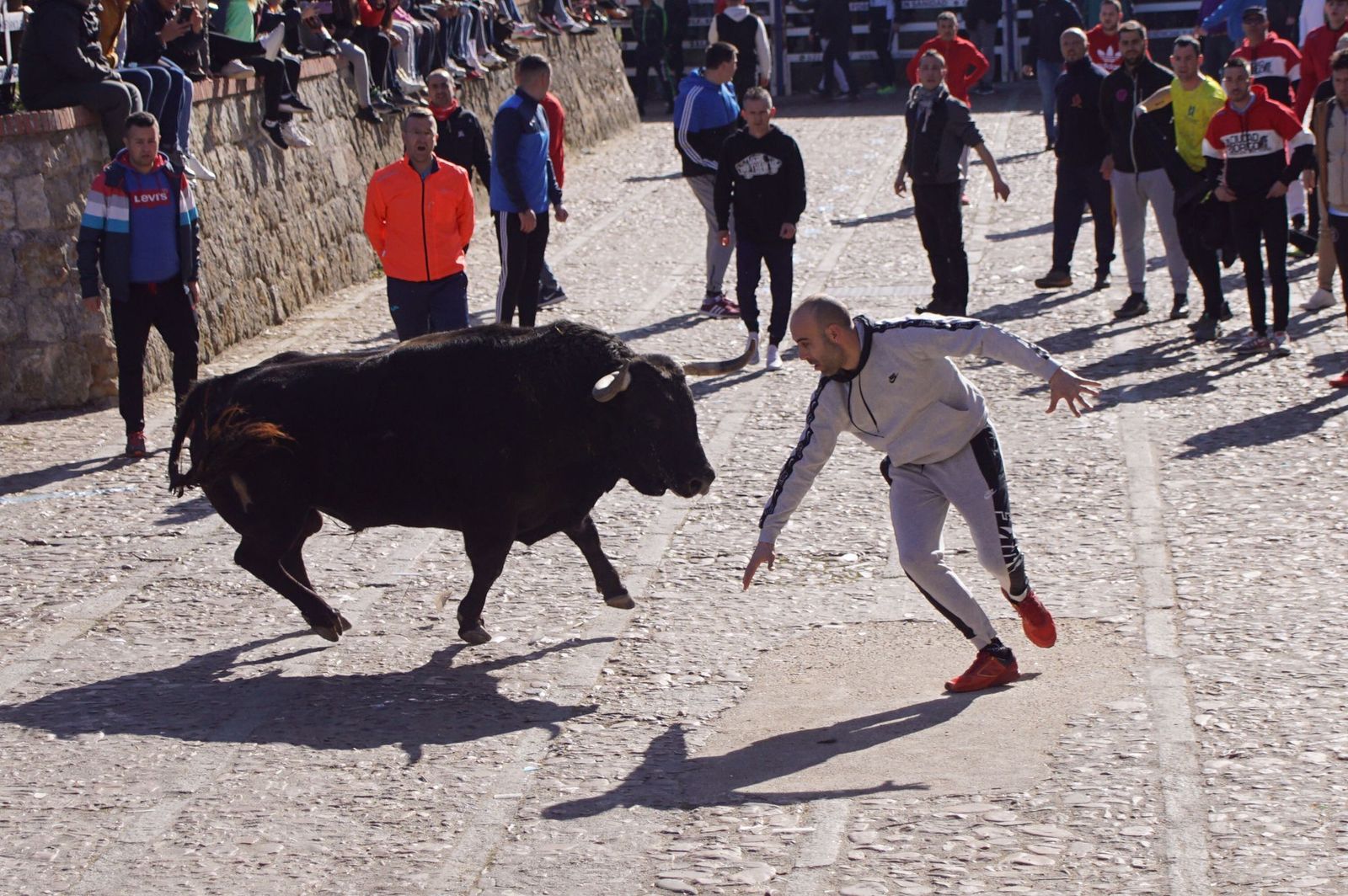 encierro-capea-y-ambiente-en-ciudad-rodrigo-en-este-lunes-de-carnaval-43